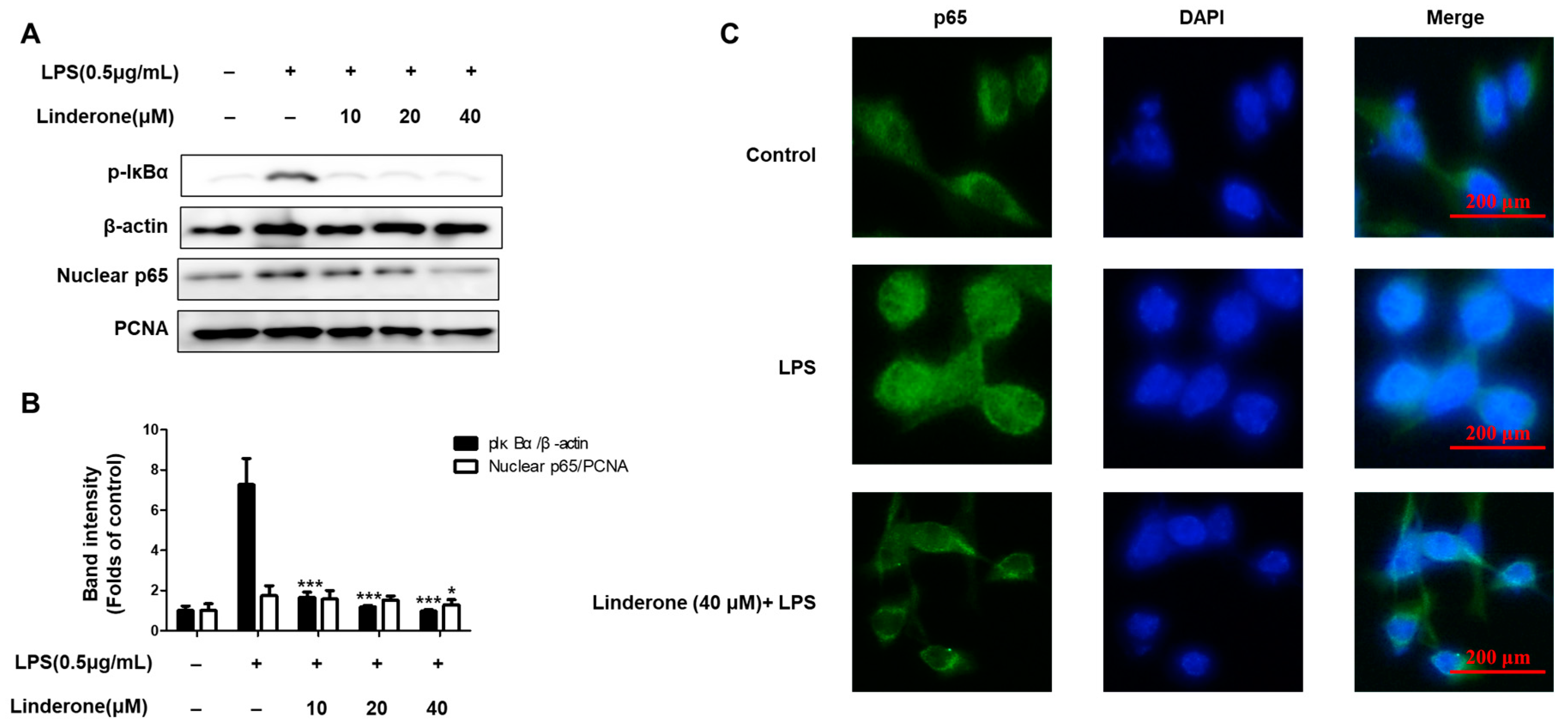 Ijms 24 07569 g004 Ijms 24 07569 g004