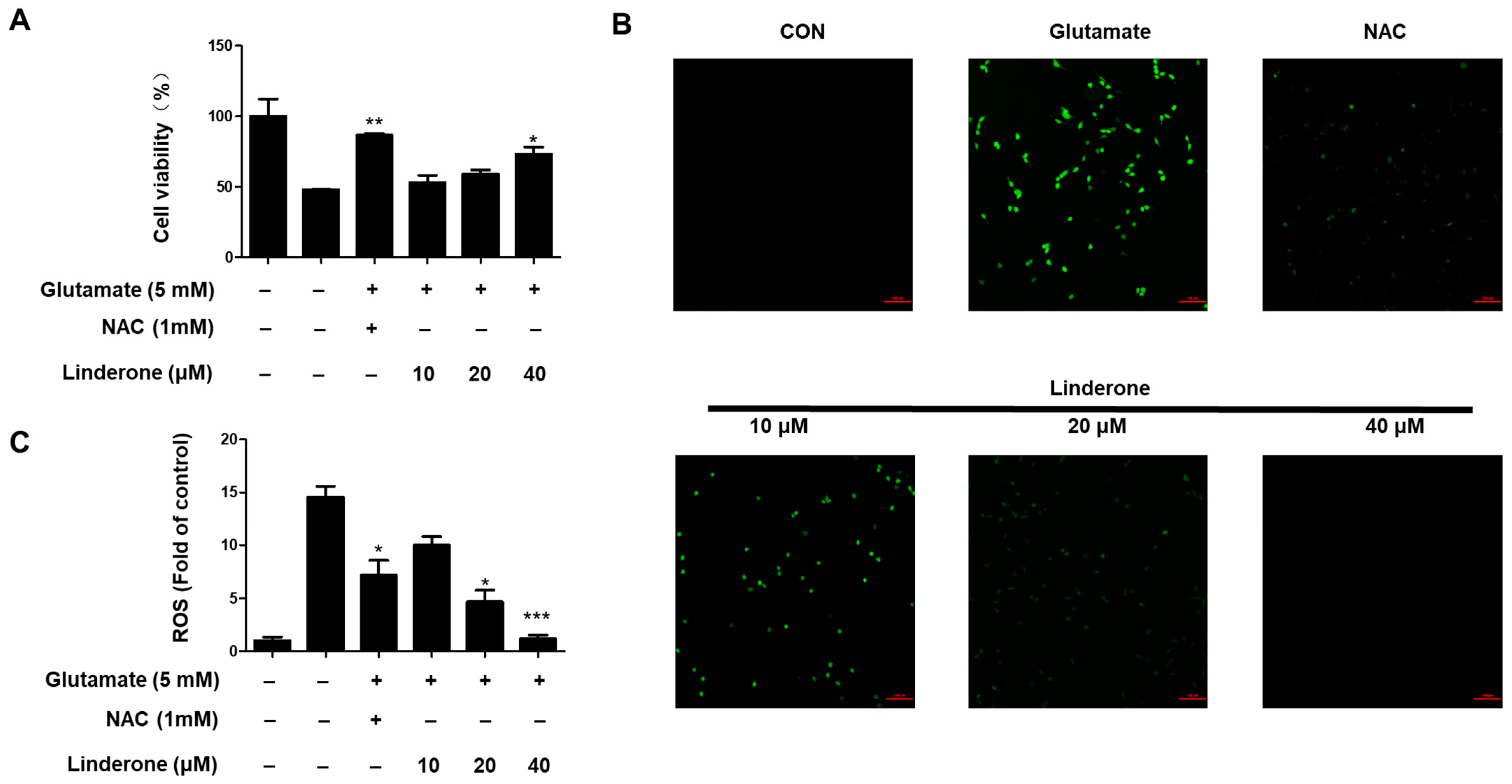 Ijms 24 07569 g005 Ijms 24 07569 g005