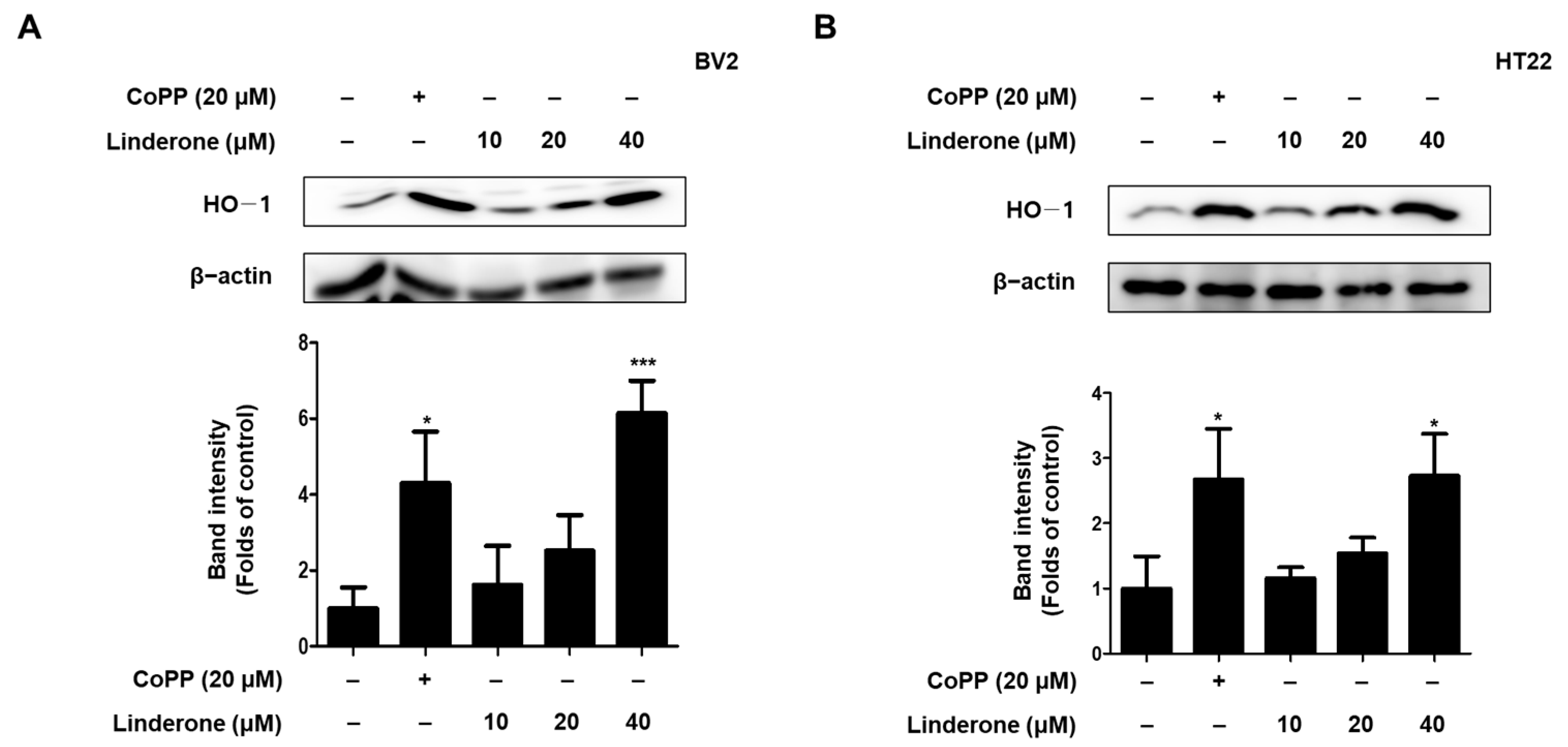 Ijms 24 07569 g006 Ijms 24 07569 g006