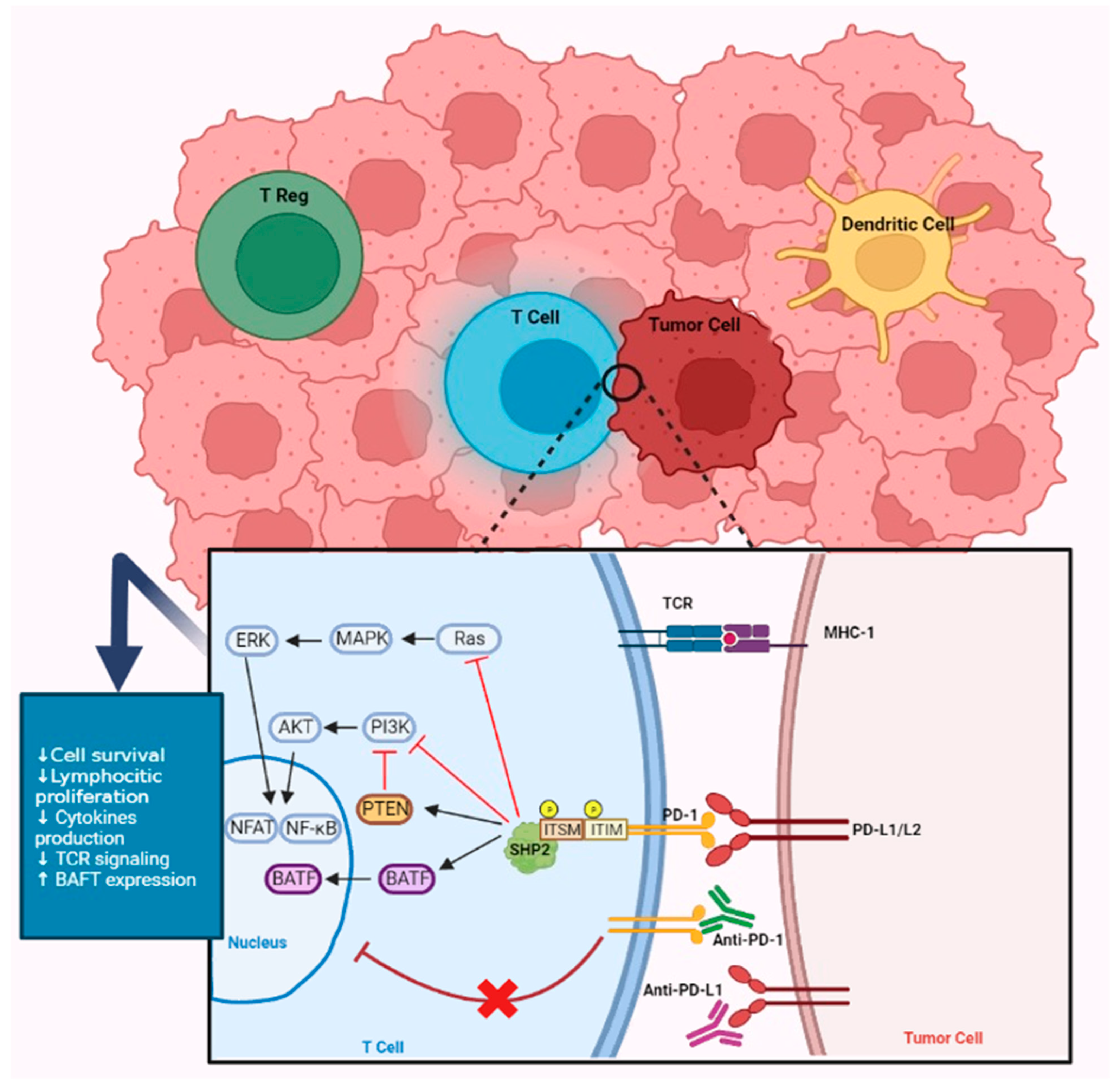 Ijms 24 07577 g001 Ijms 24 07577 g001