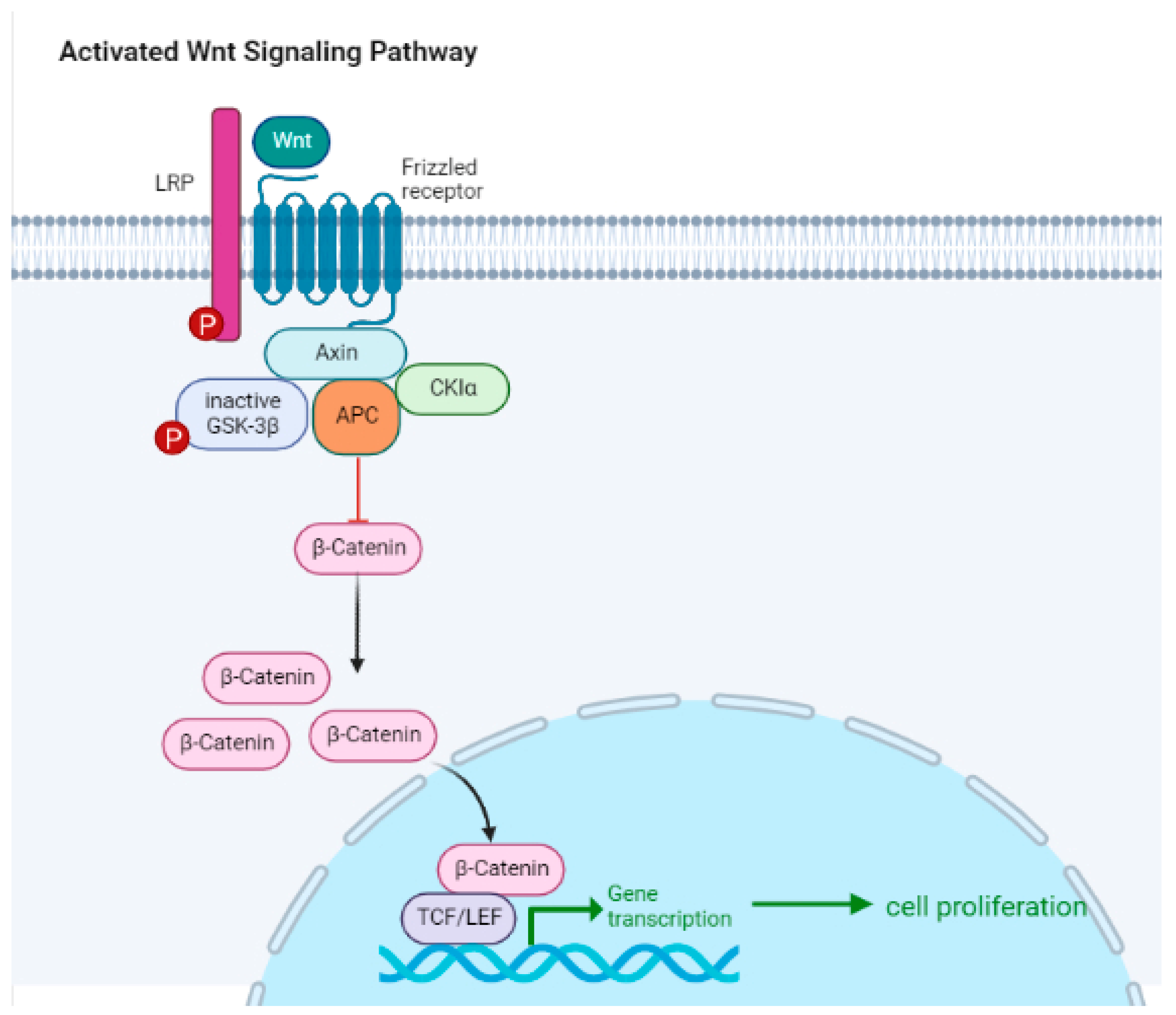 Ijms 24 07577 g003 Ijms 24 07577 g003