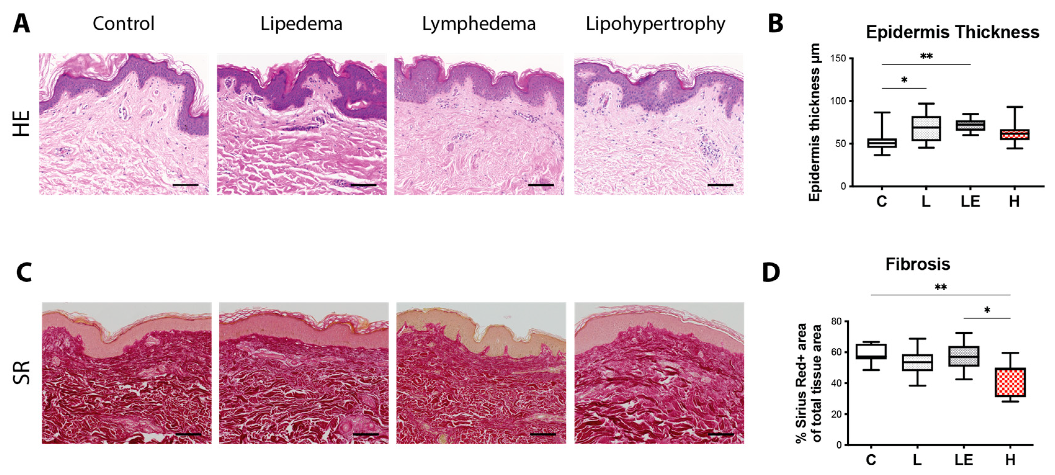 Ijms 24 07591 g001 Ijms 24 07591 g001