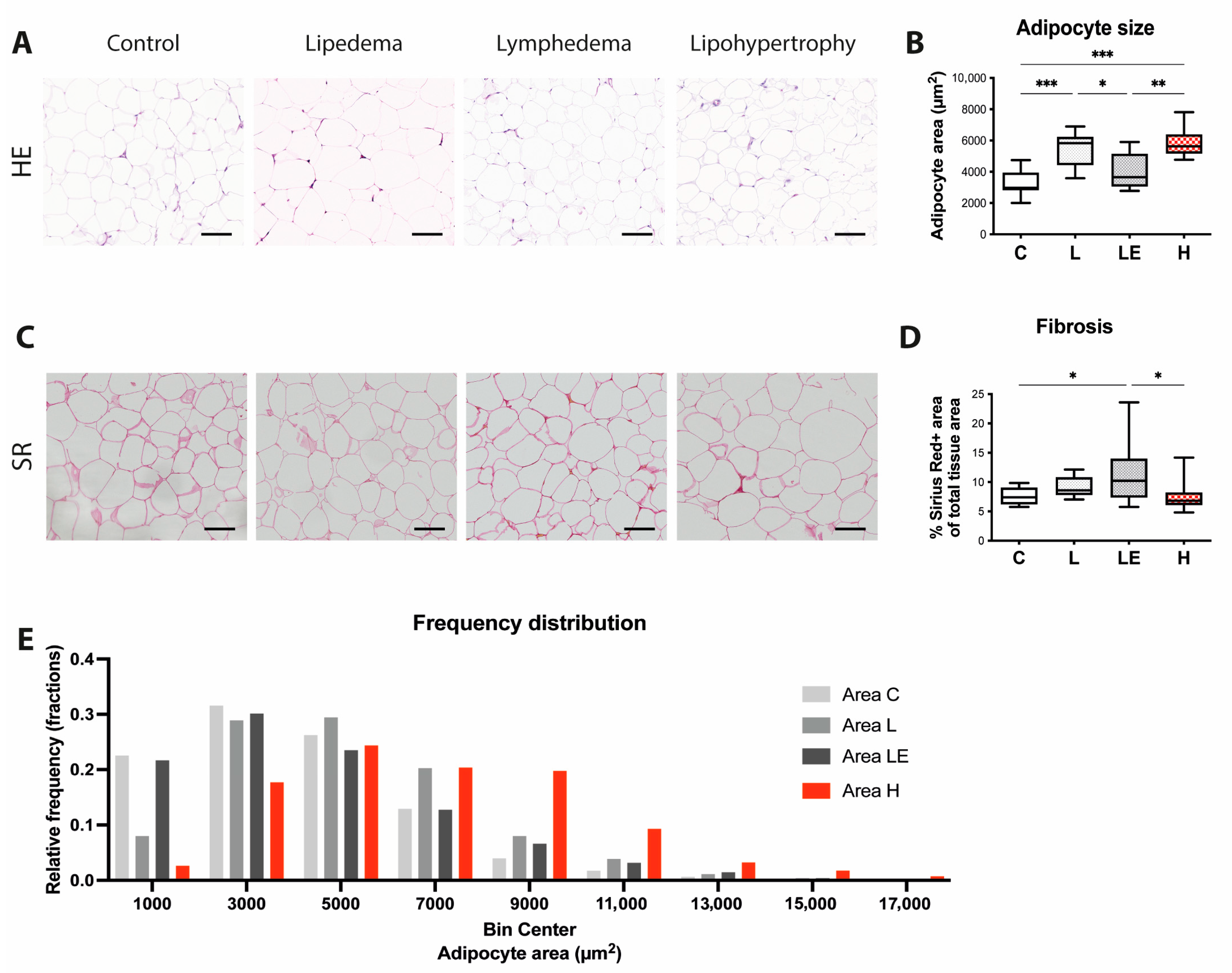 Ijms 24 07591 g002 Ijms 24 07591 g002