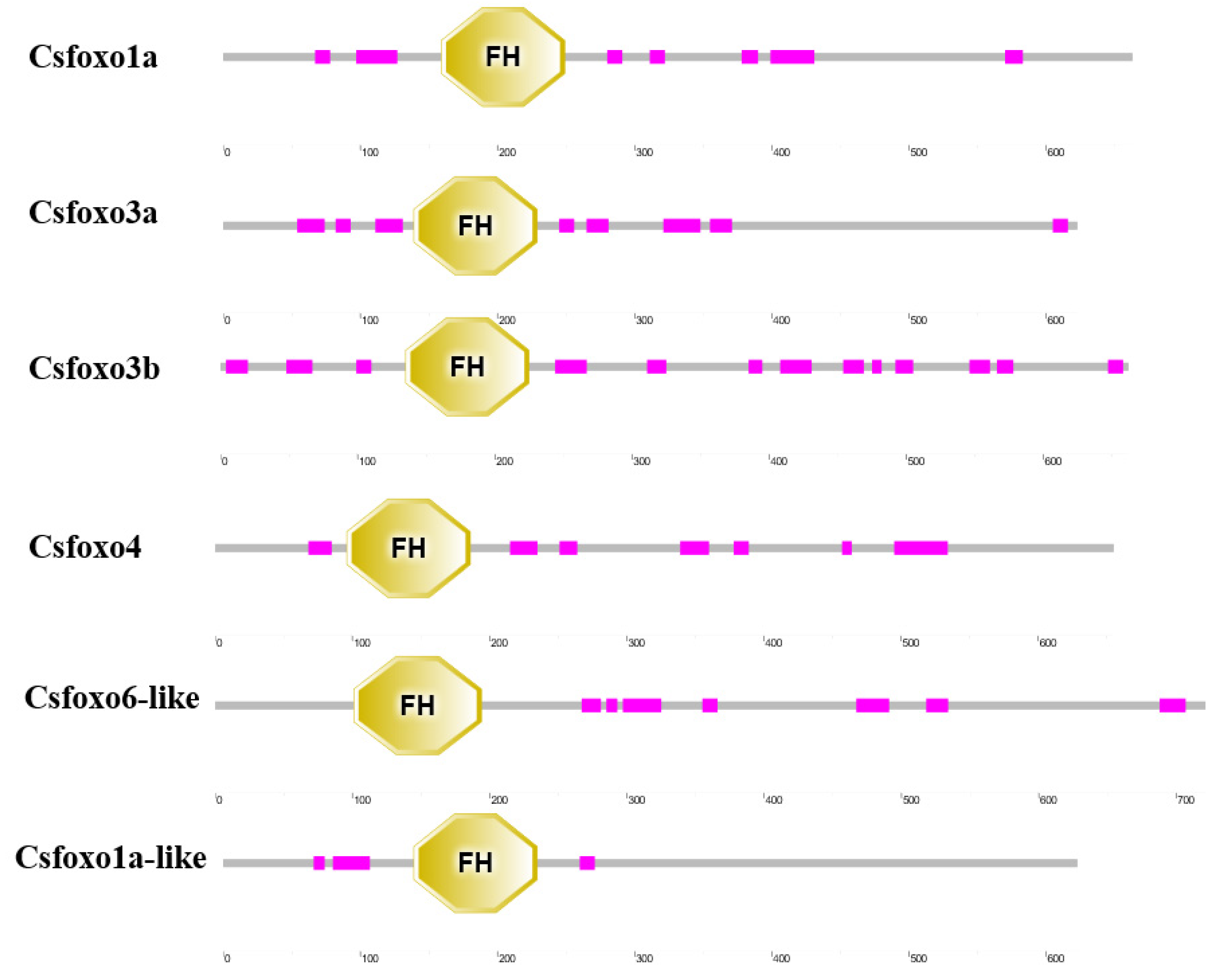 Ijms 24 07625 g001 Ijms 24 07625 g001