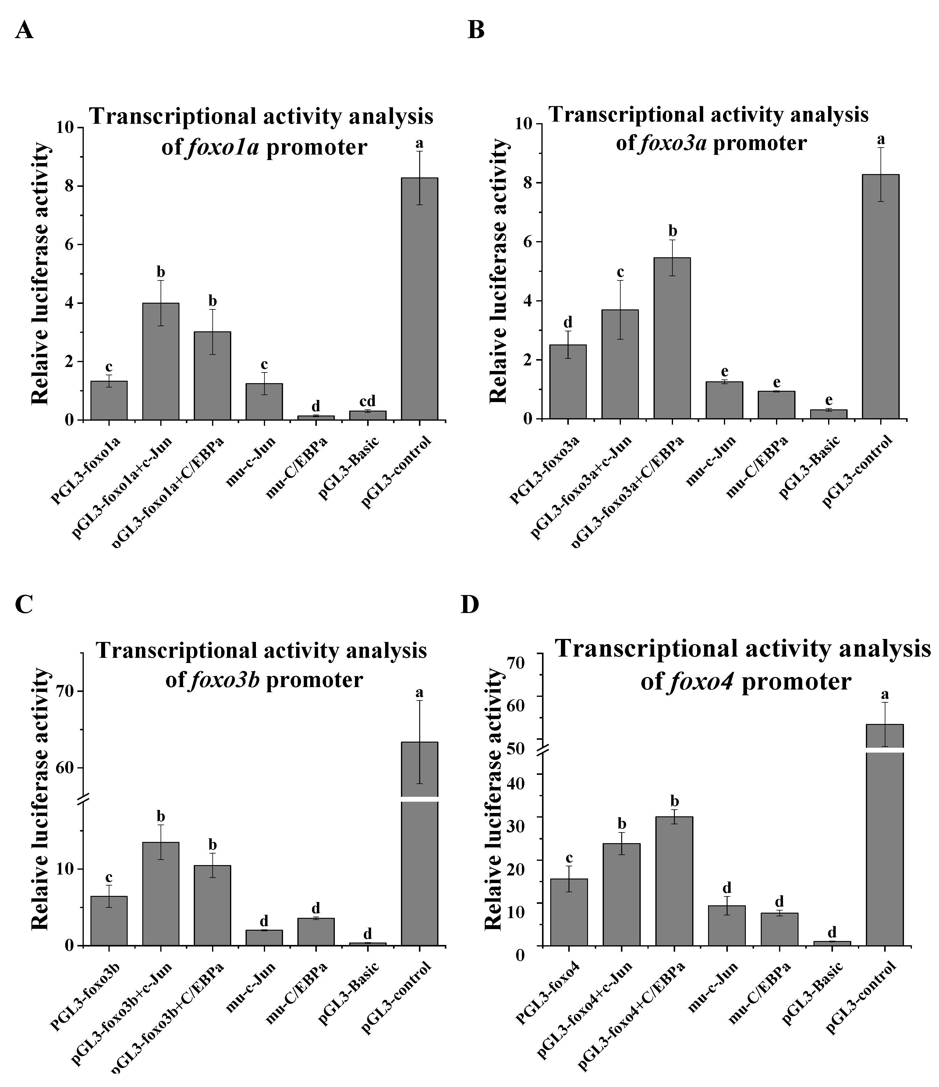 Ijms 24 07625 g005 Ijms 24 07625 g005