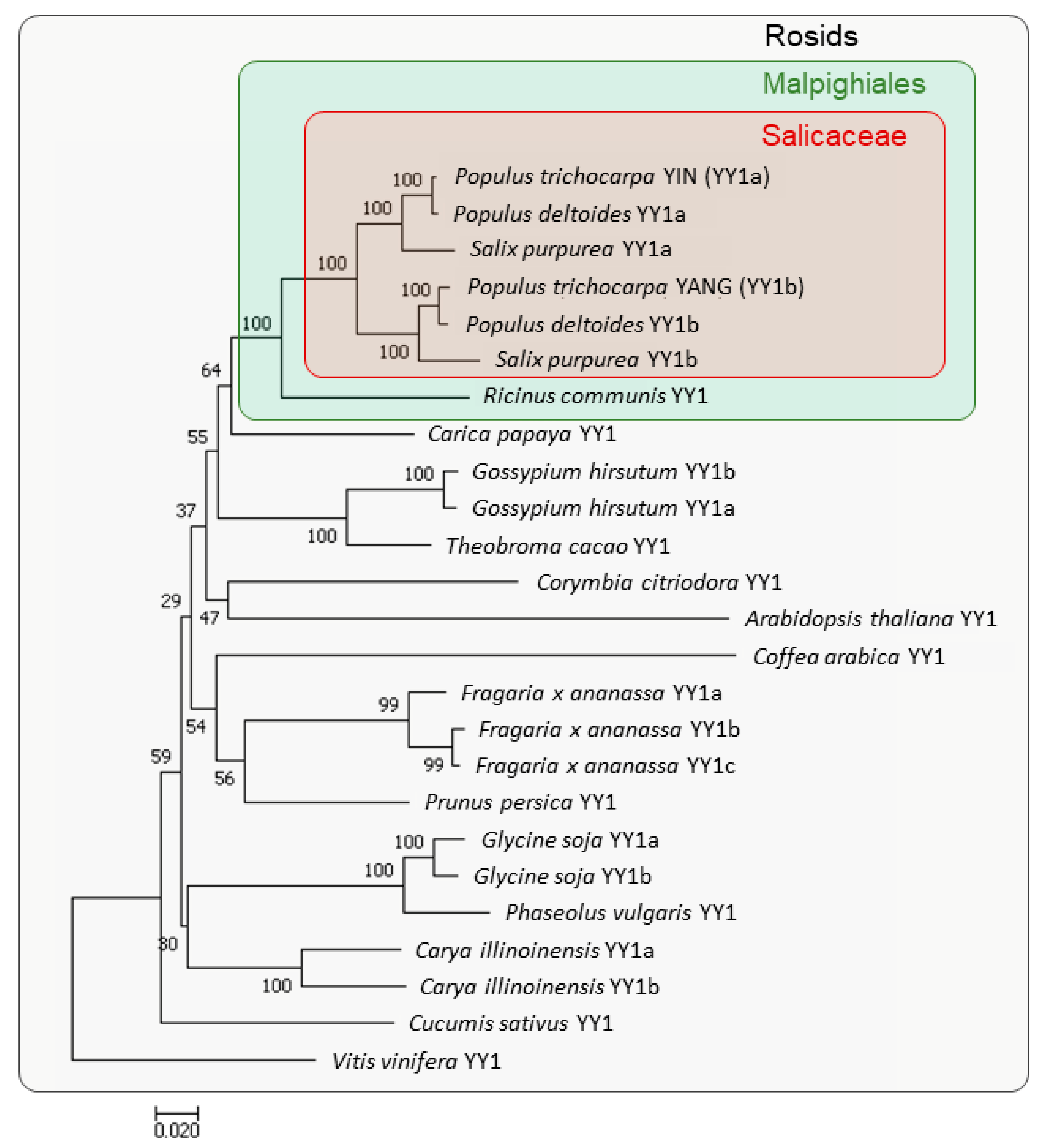 Ijms 24 07639 g001 Ijms 24 07639 g001