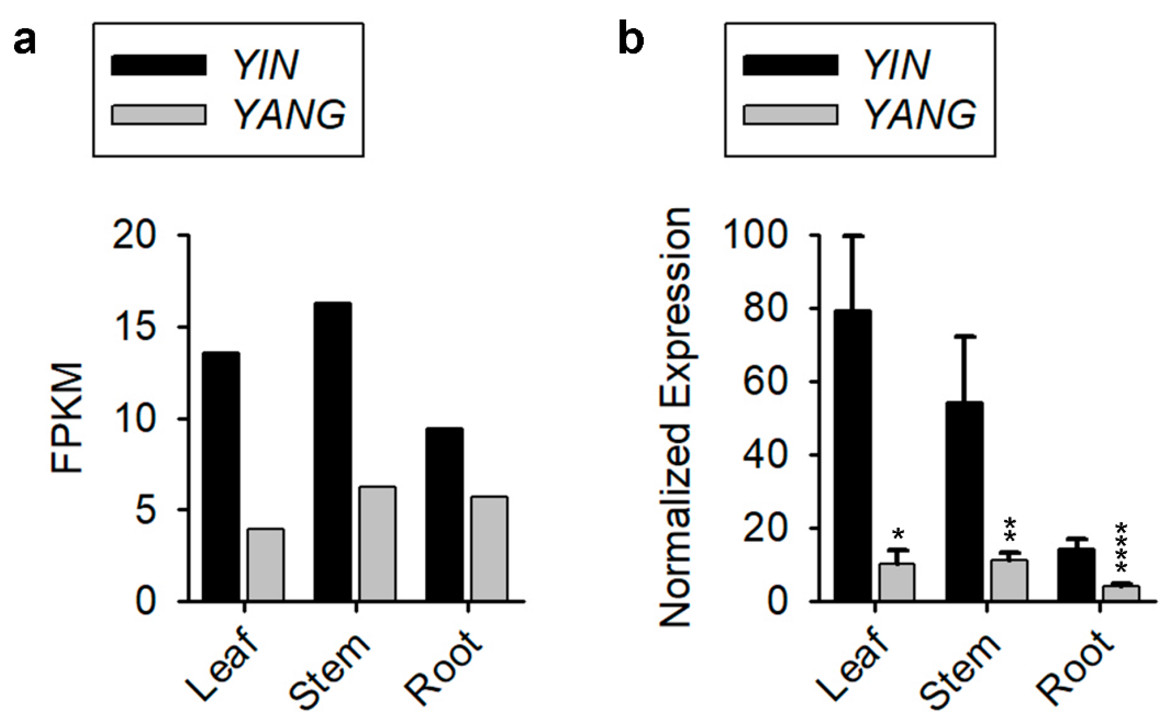 Ijms 24 07639 g003 Ijms 24 07639 g003