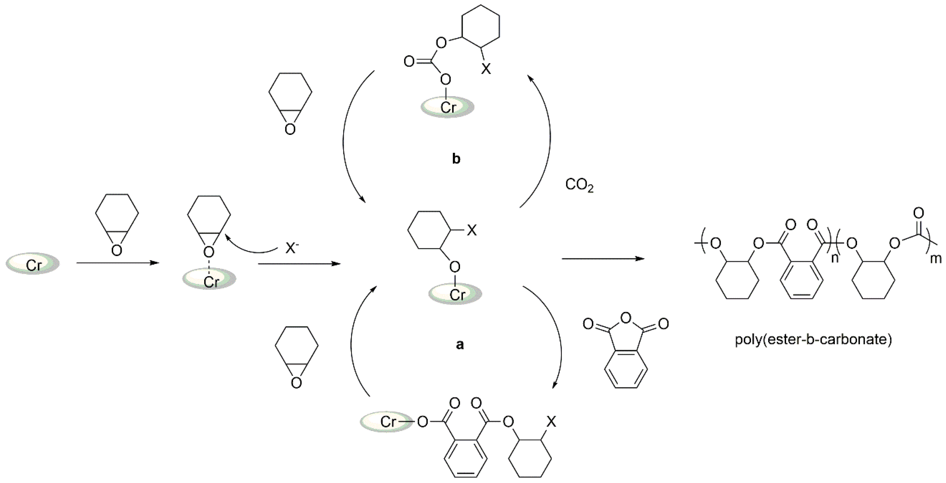 Ijms 24 07642 sch004