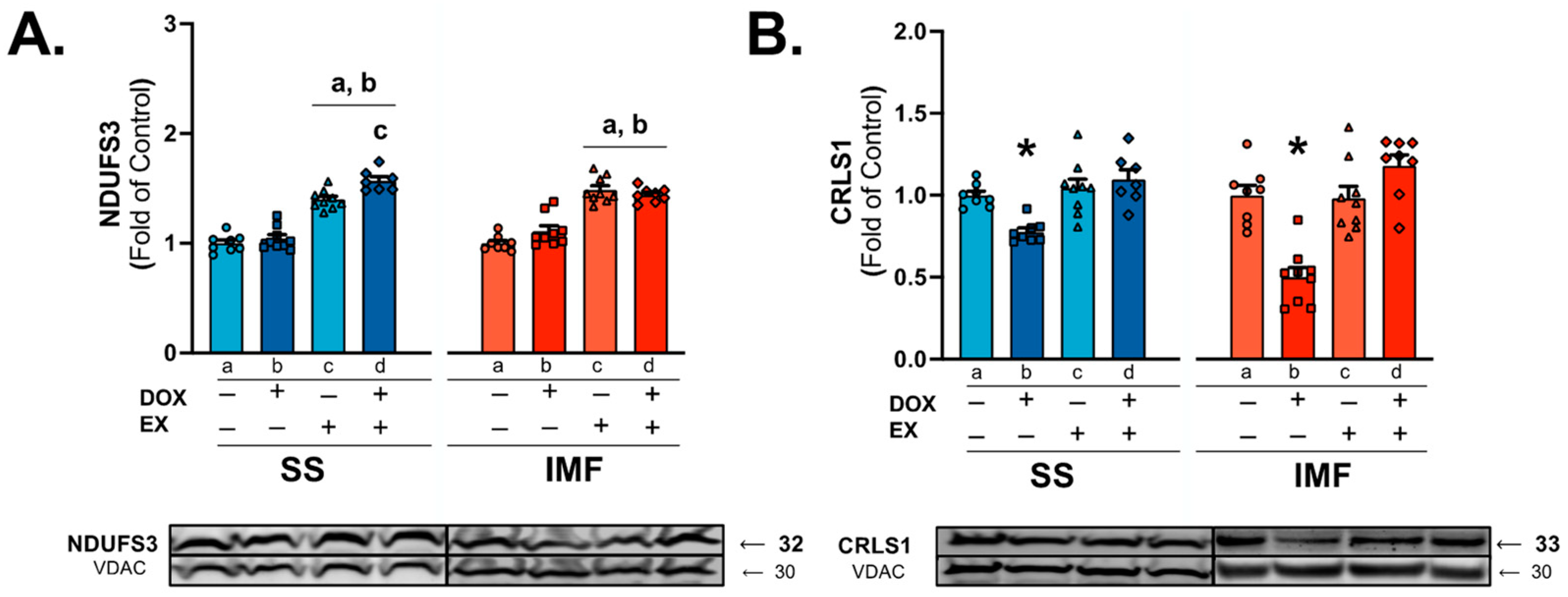 Ijms 24 07689 g008 Ijms 24 07689 g008