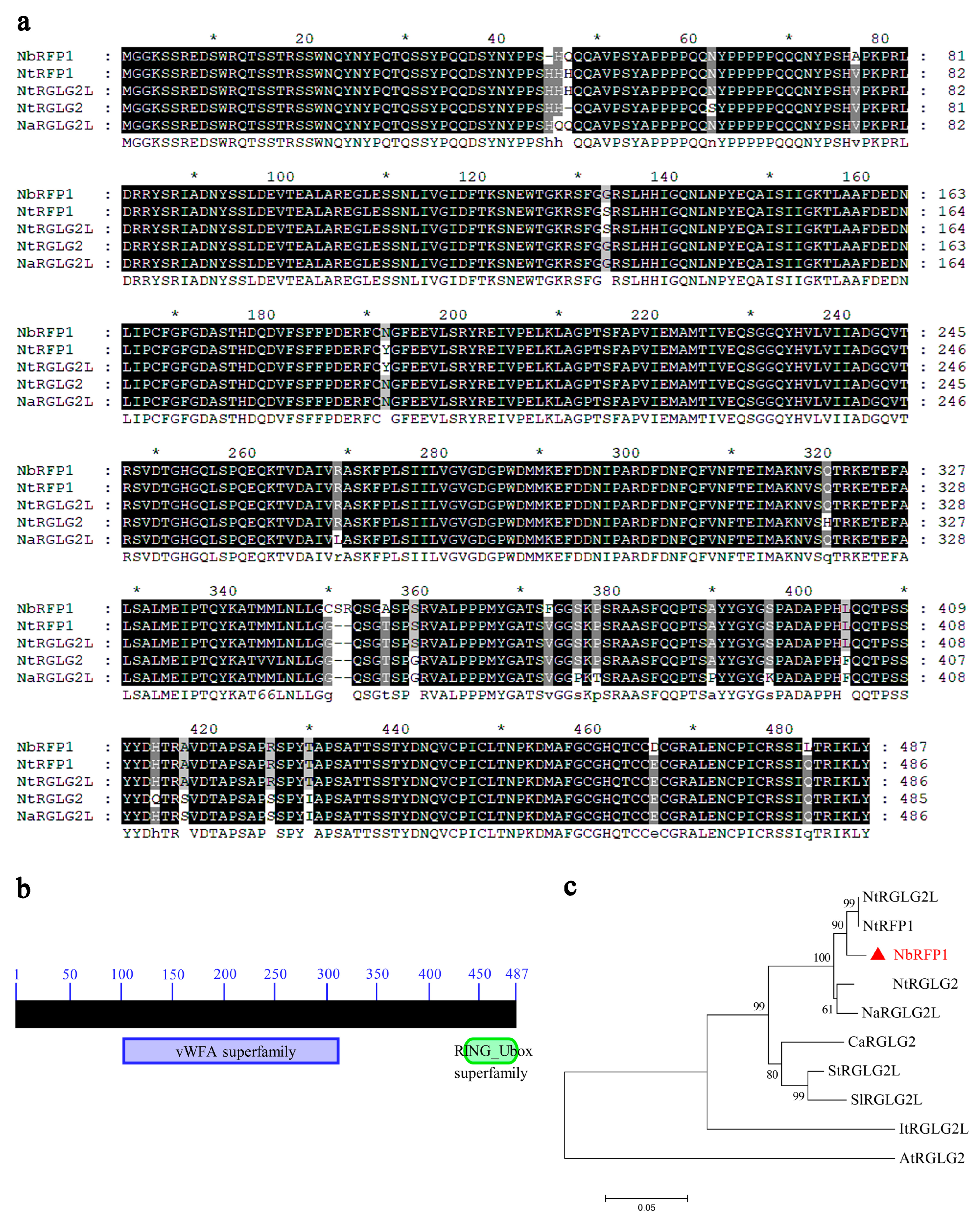 Ijms 24 07697 g001 Ijms 24 07697 g001
