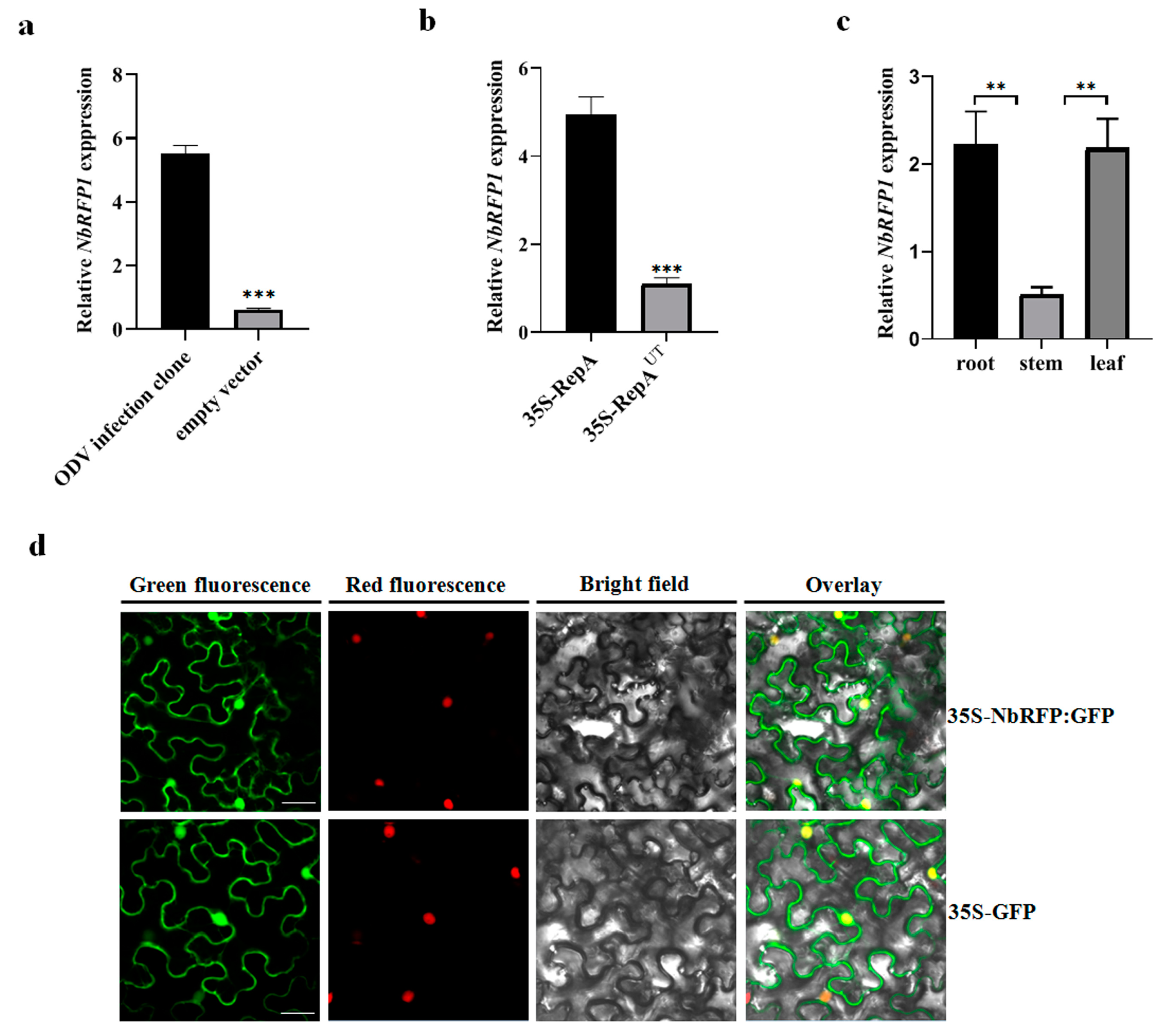 Ijms 24 07697 g002 Ijms 24 07697 g002