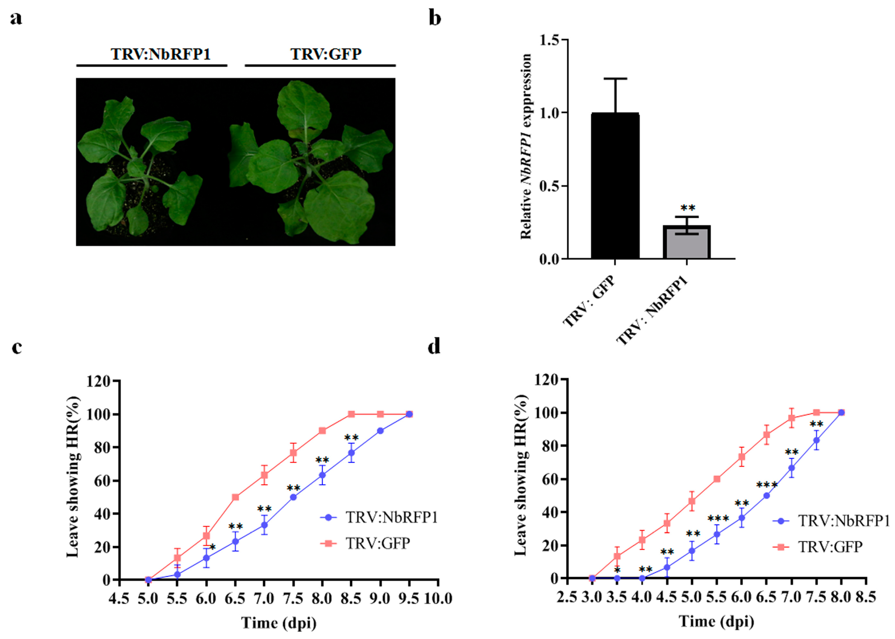 Ijms 24 07697 g003 Ijms 24 07697 g003