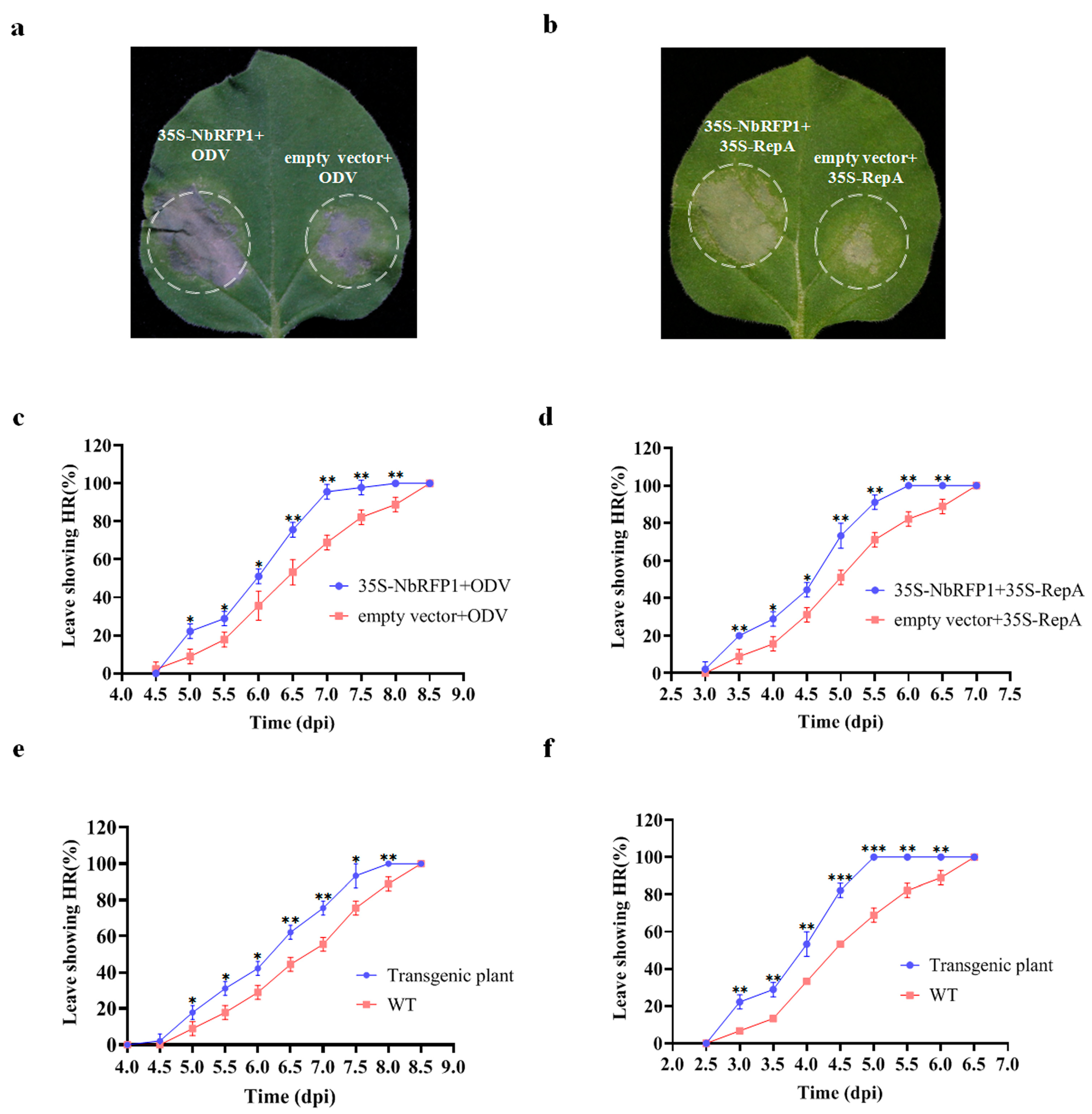 Ijms 24 07697 g004 Ijms 24 07697 g004
