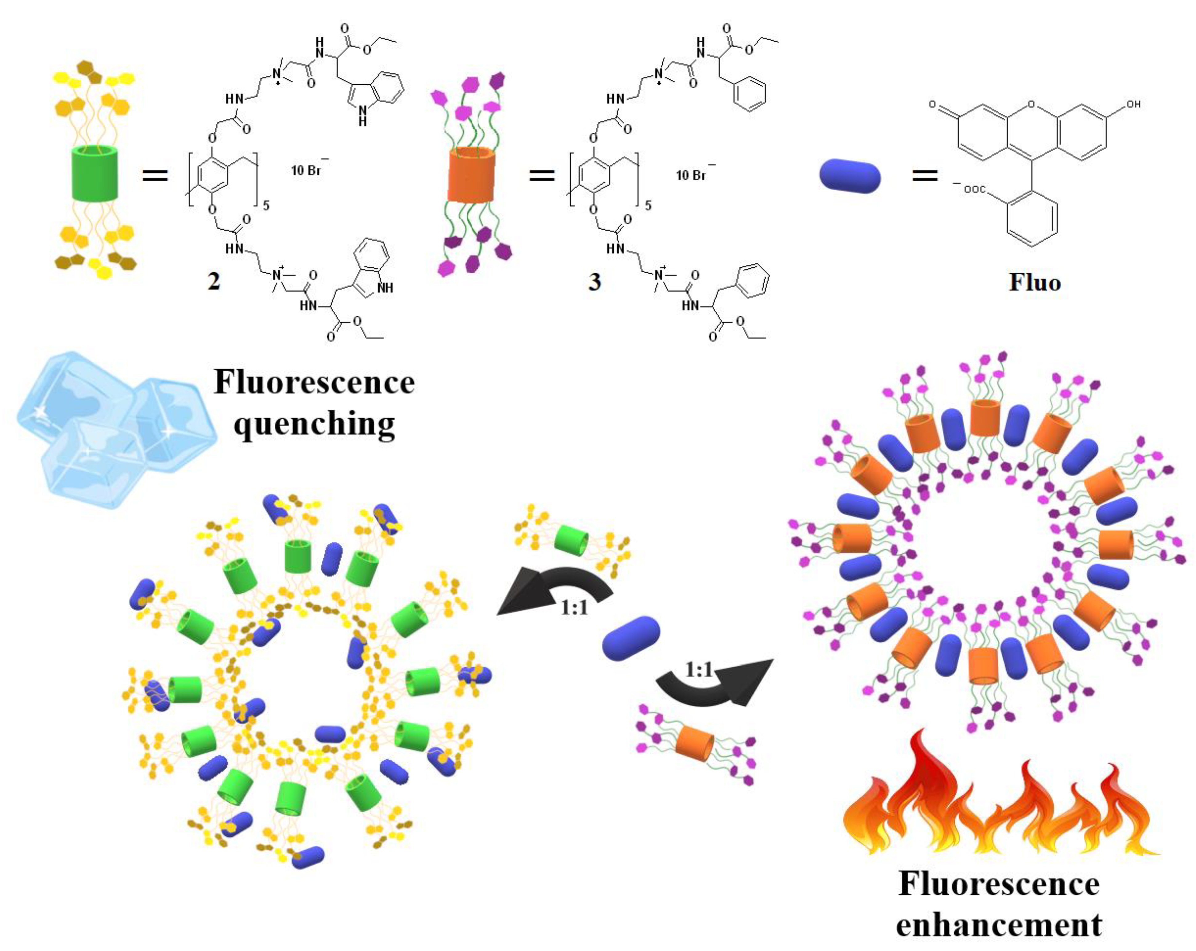 Ijms 24 07700 g005 Ijms 24 07700 g005