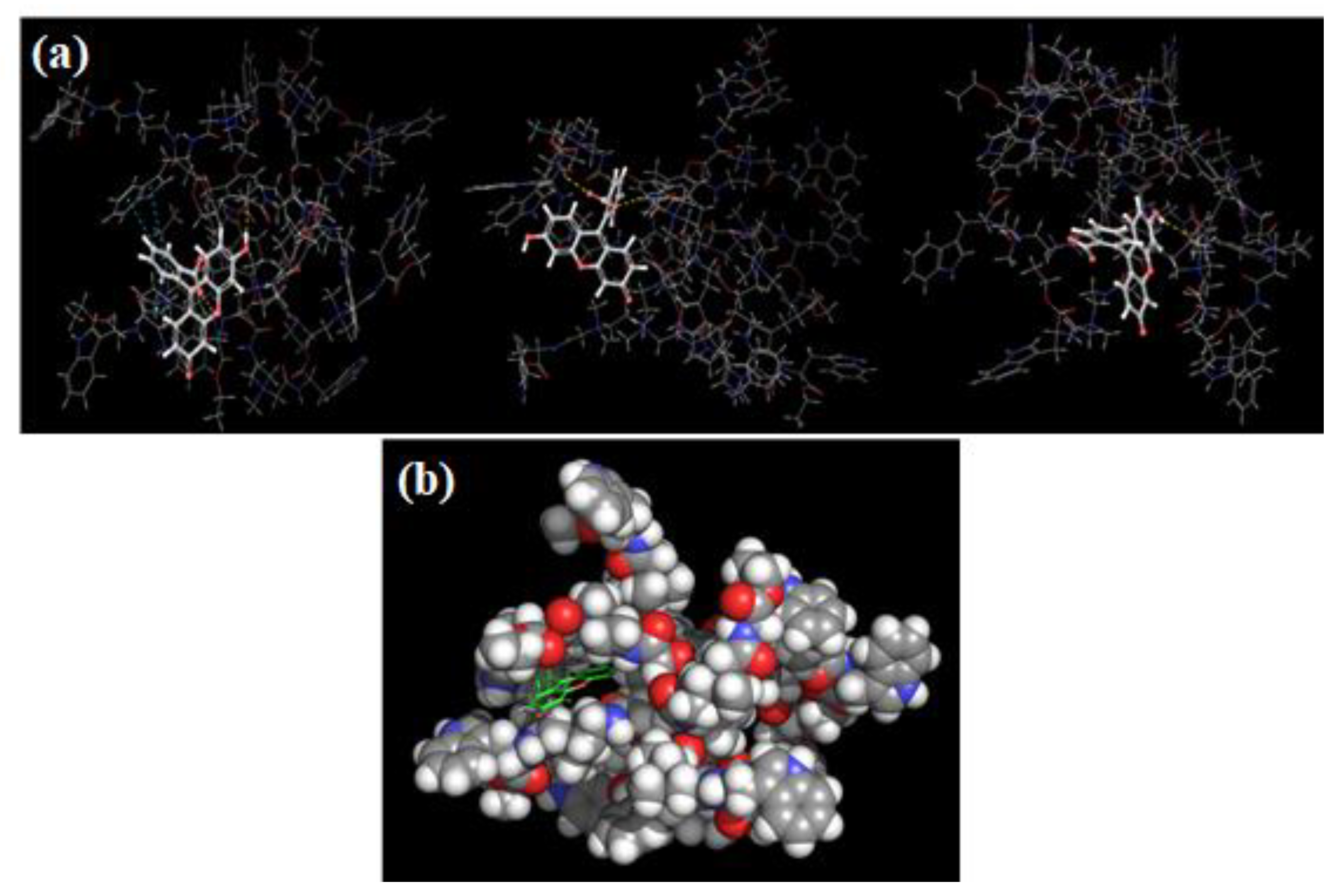 Ijms 24 07700 g007 Ijms 24 07700 g007