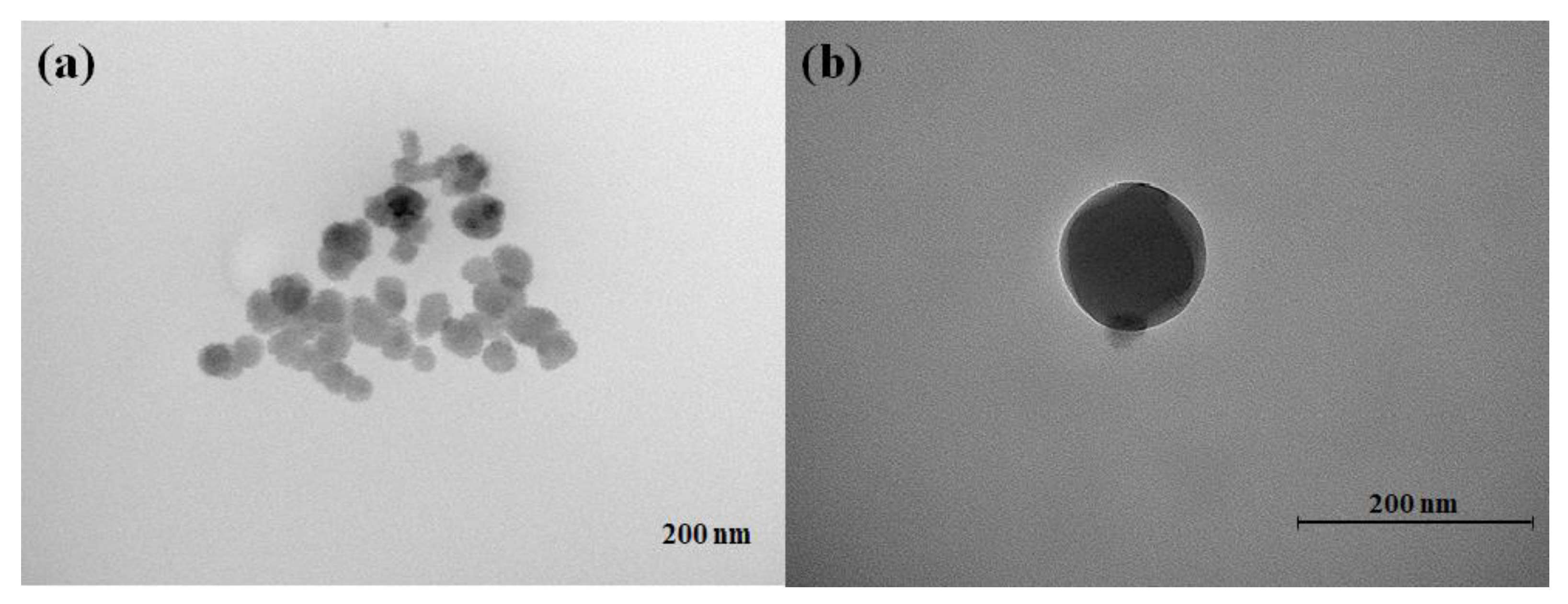 Ijms 24 07700 g008 Ijms 24 07700 g008