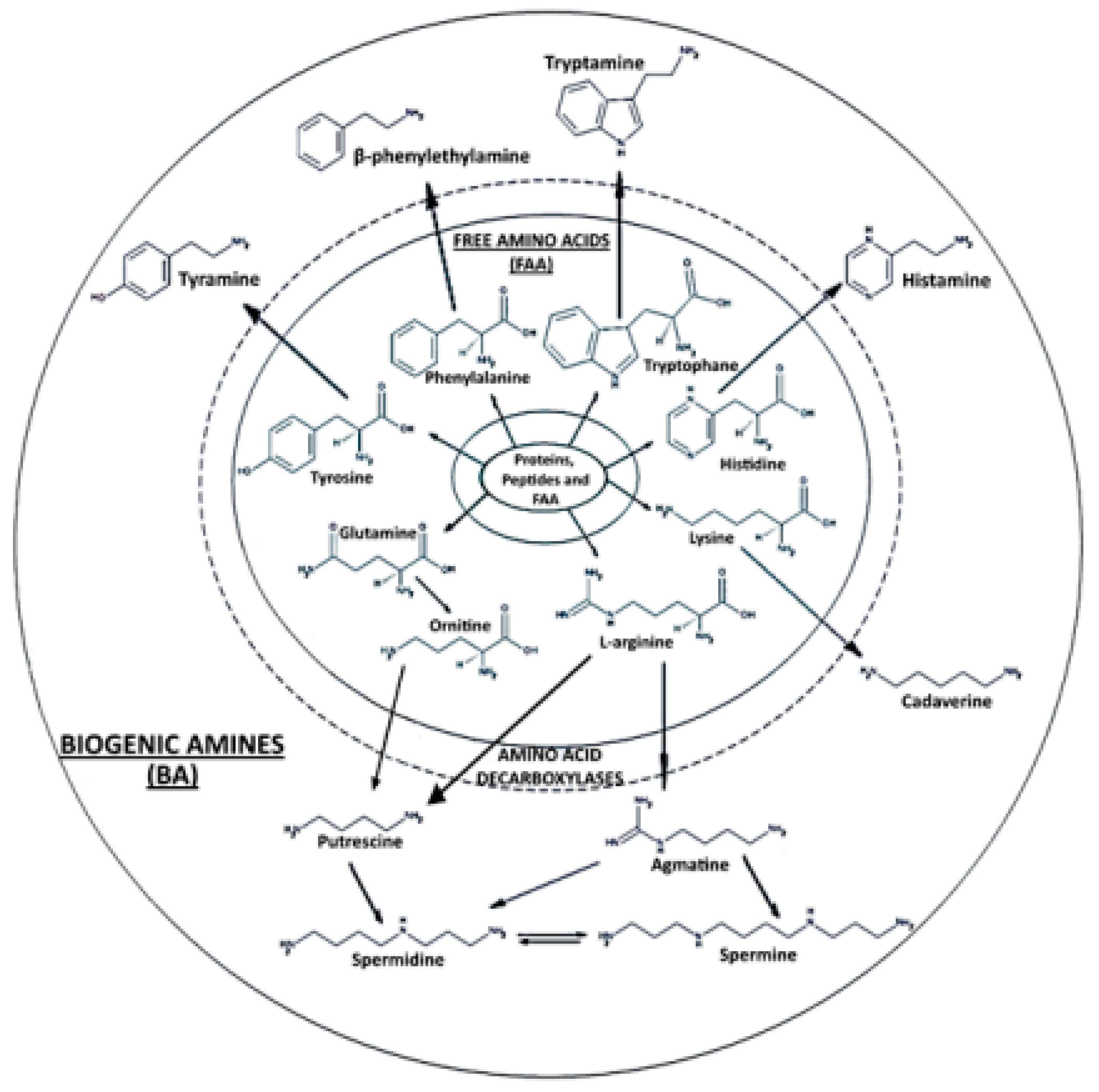 Ijms 24 07704 g001 Ijms 24 07704 g001