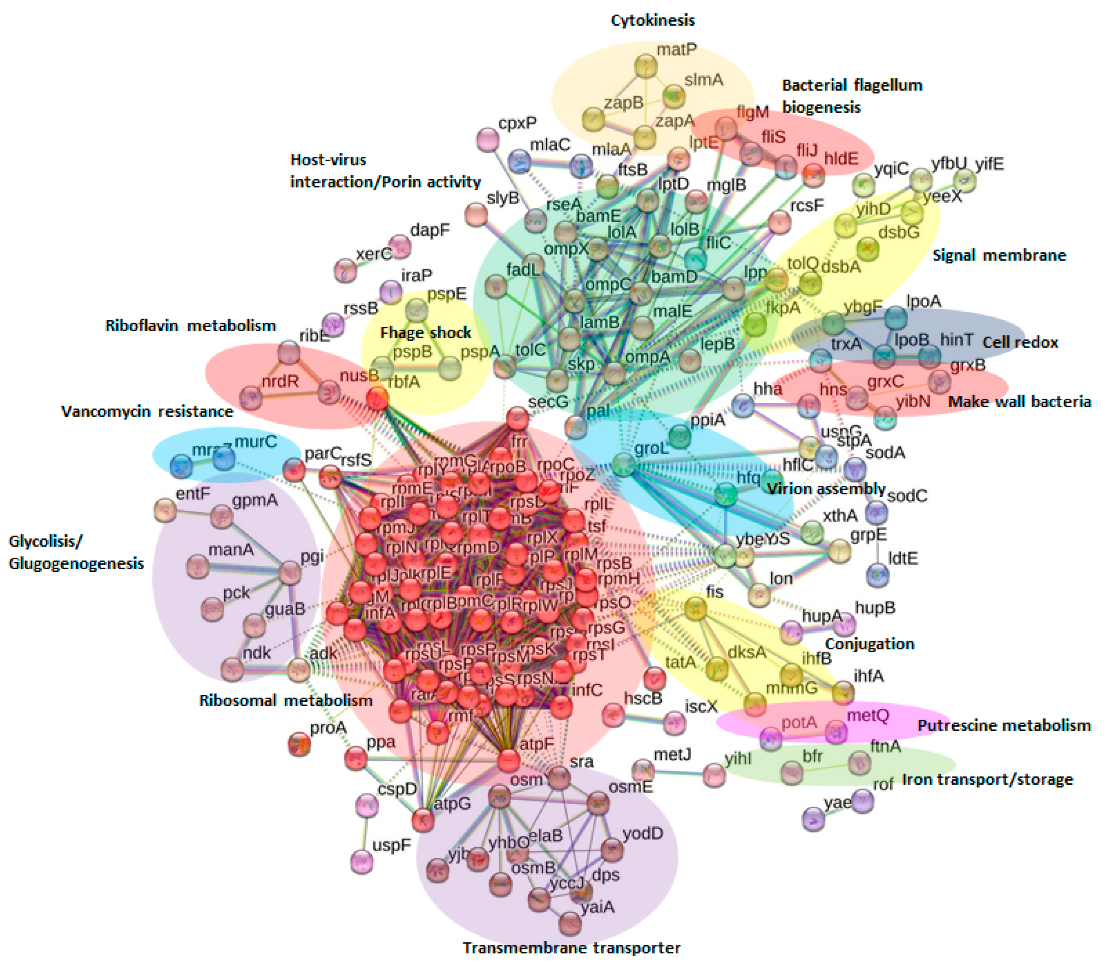 Ijms 24 07704 g005 Ijms 24 07704 g005