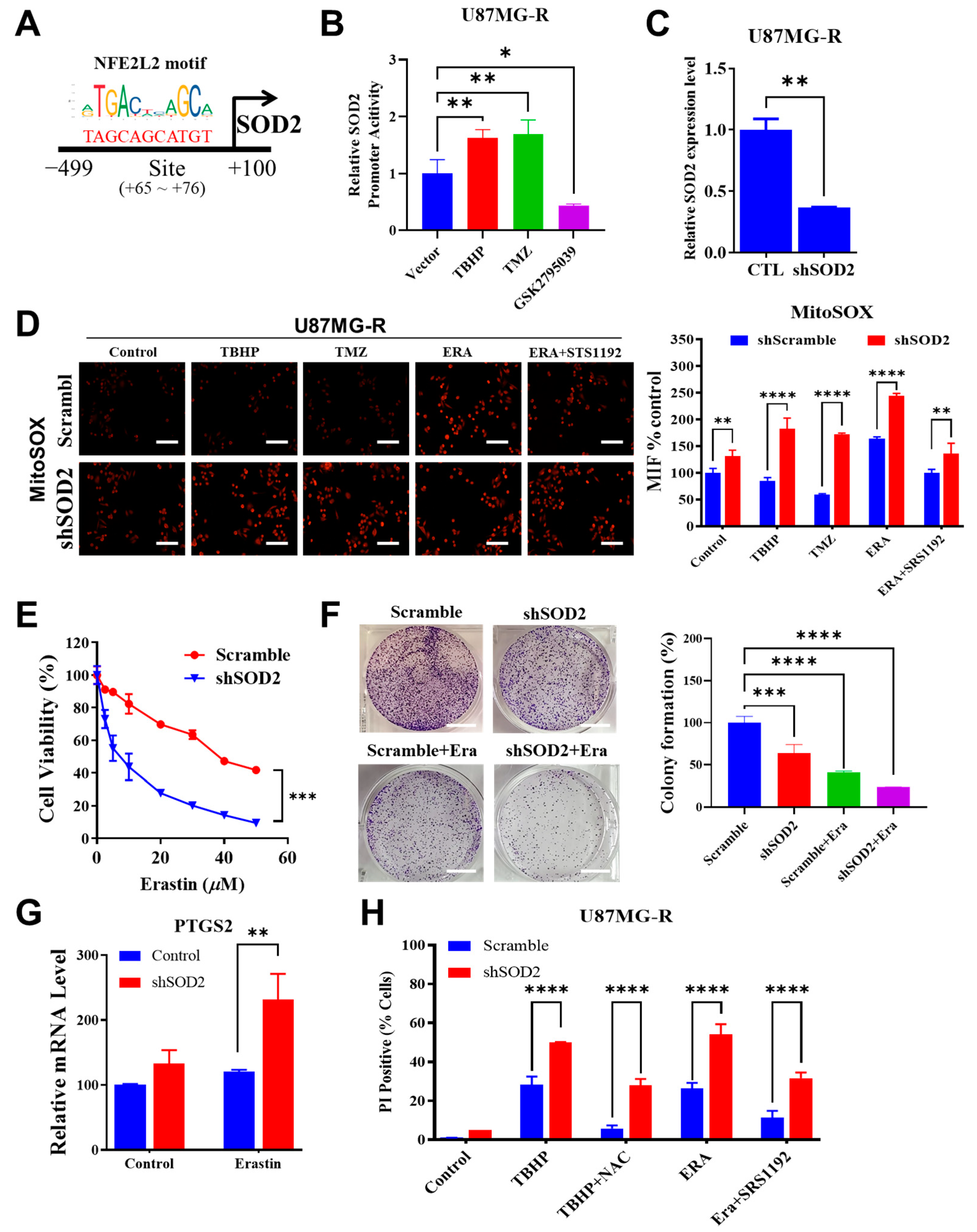 Ijms 24 07706 g005 Ijms 24 07706 g005
