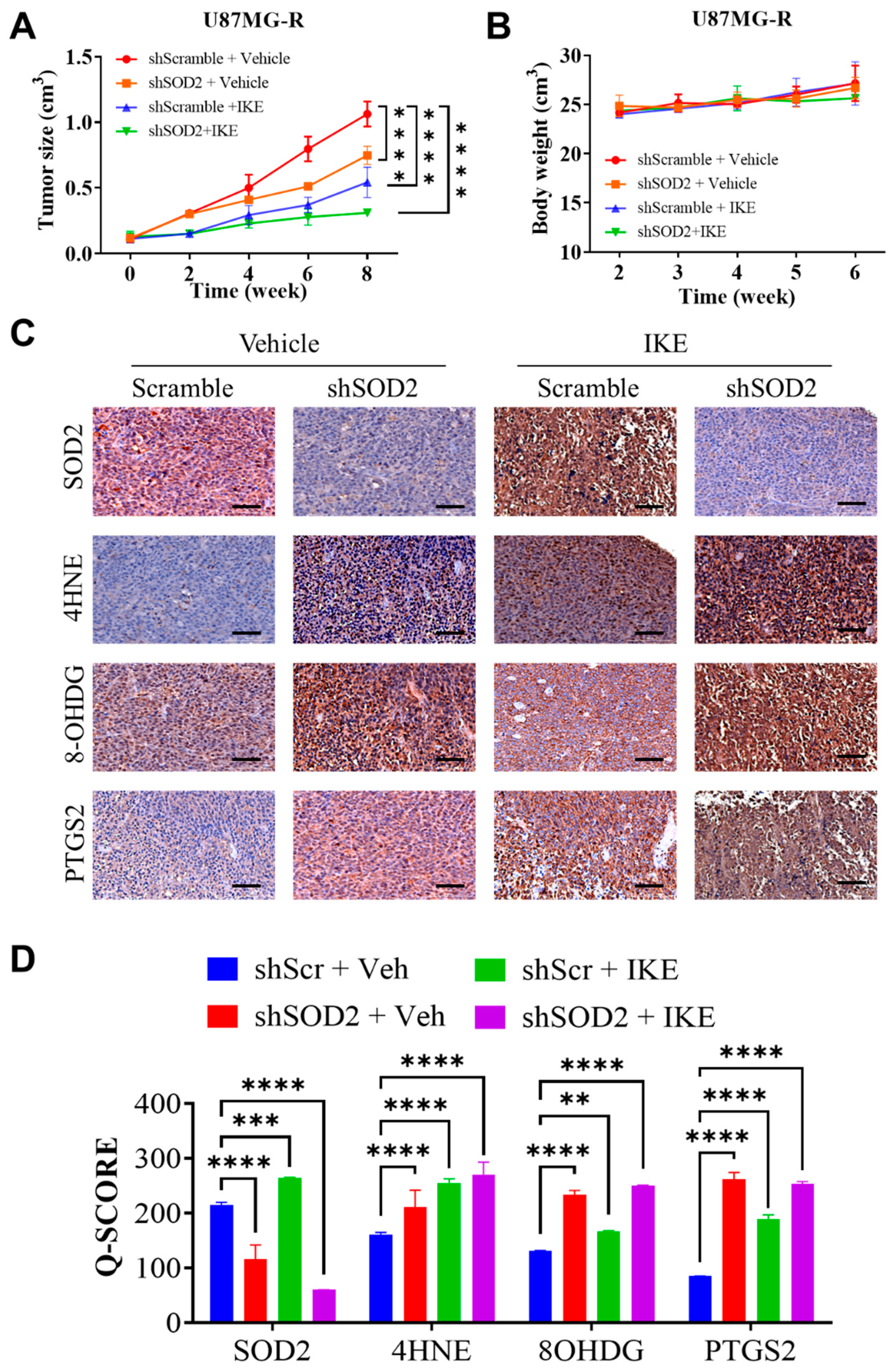 Ijms 24 07706 g006 Ijms 24 07706 g006