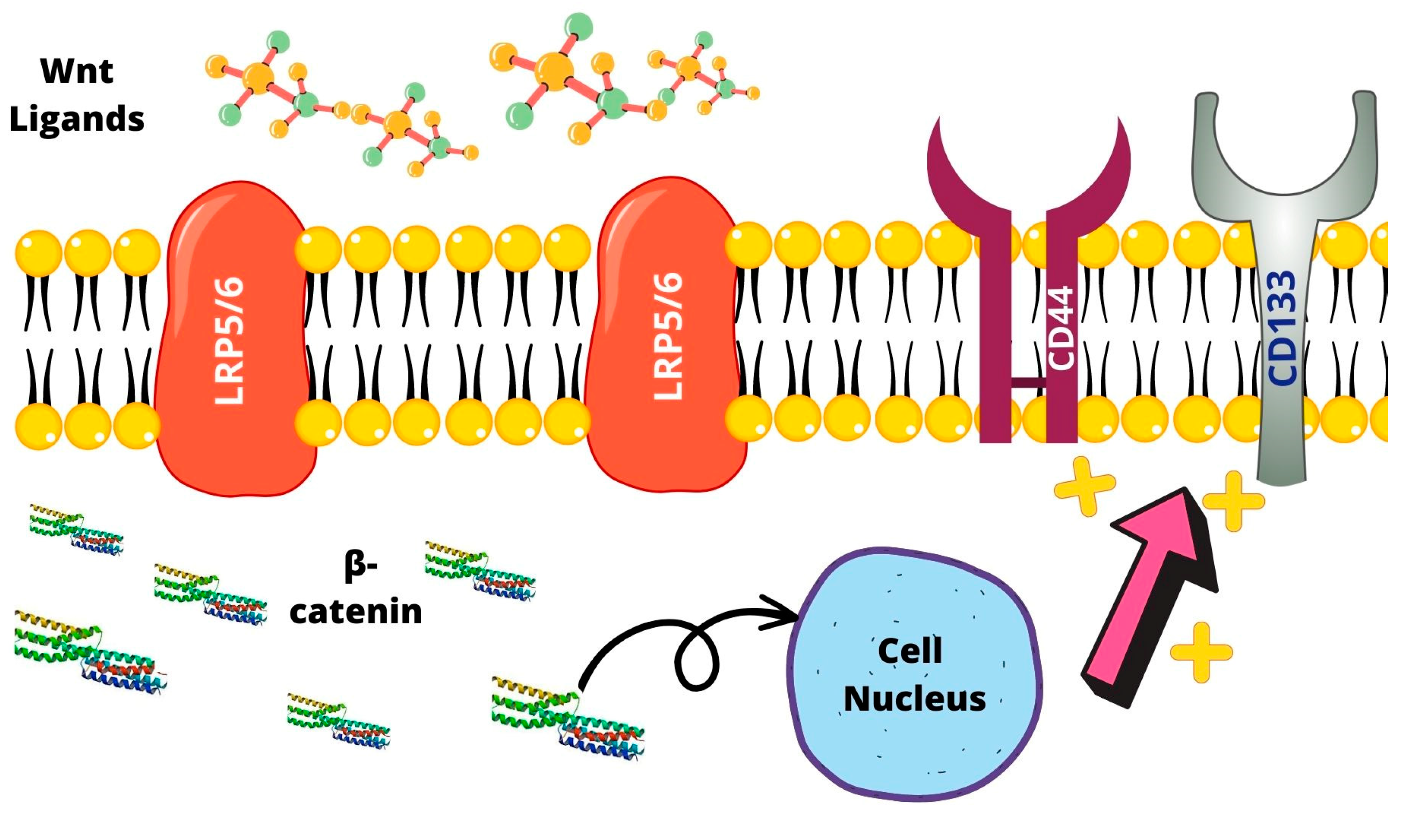 Ijms 24 07746 g001 Ijms 24 07746 g001