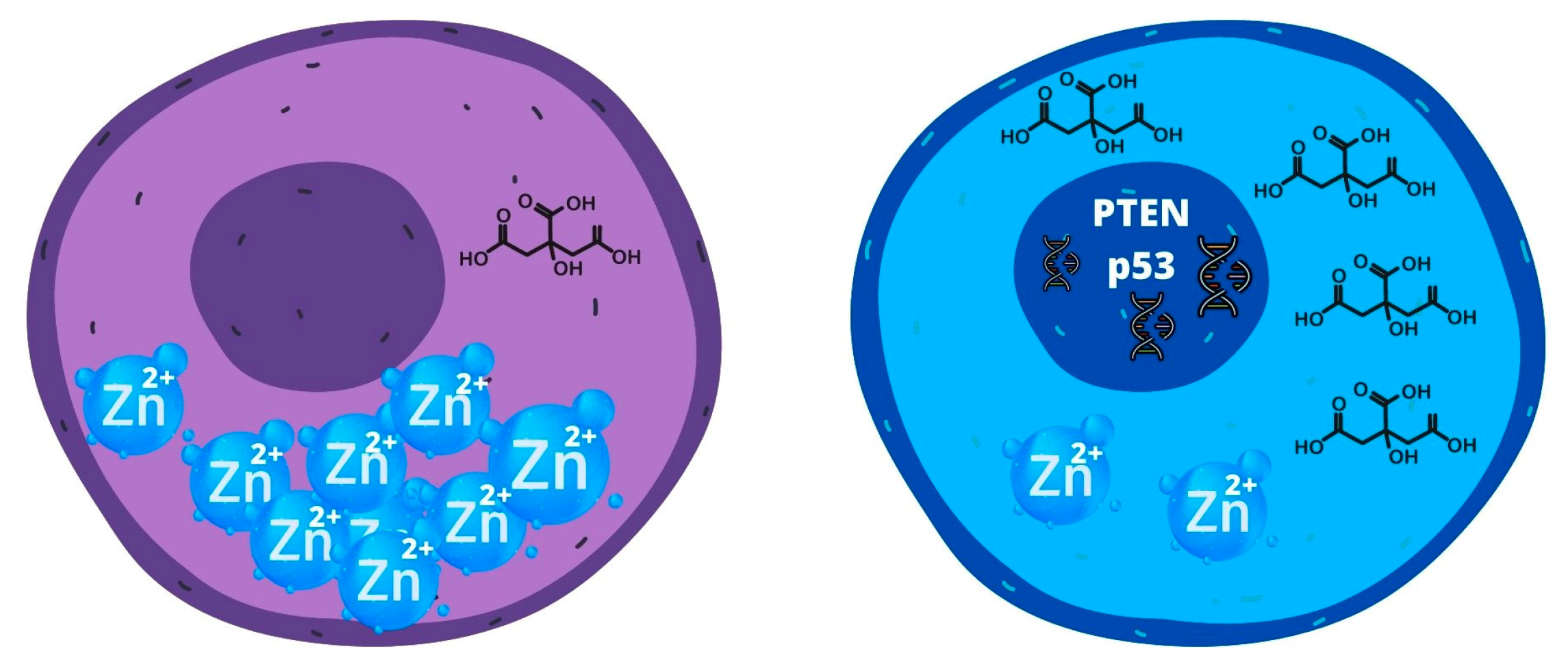 Ijms 24 07746 g004 Ijms 24 07746 g004