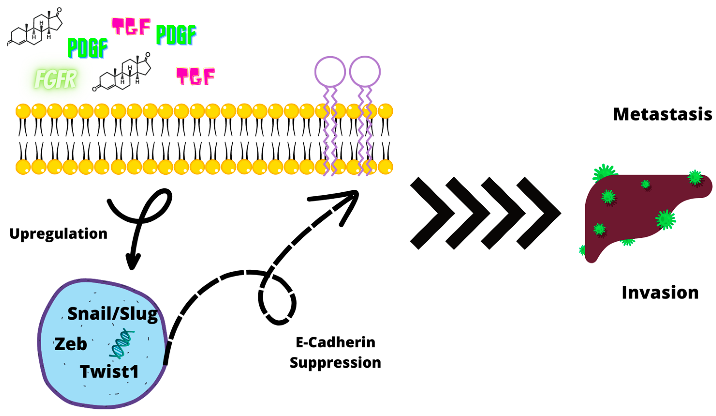 Ijms 24 07746 g005 Ijms 24 07746 g005