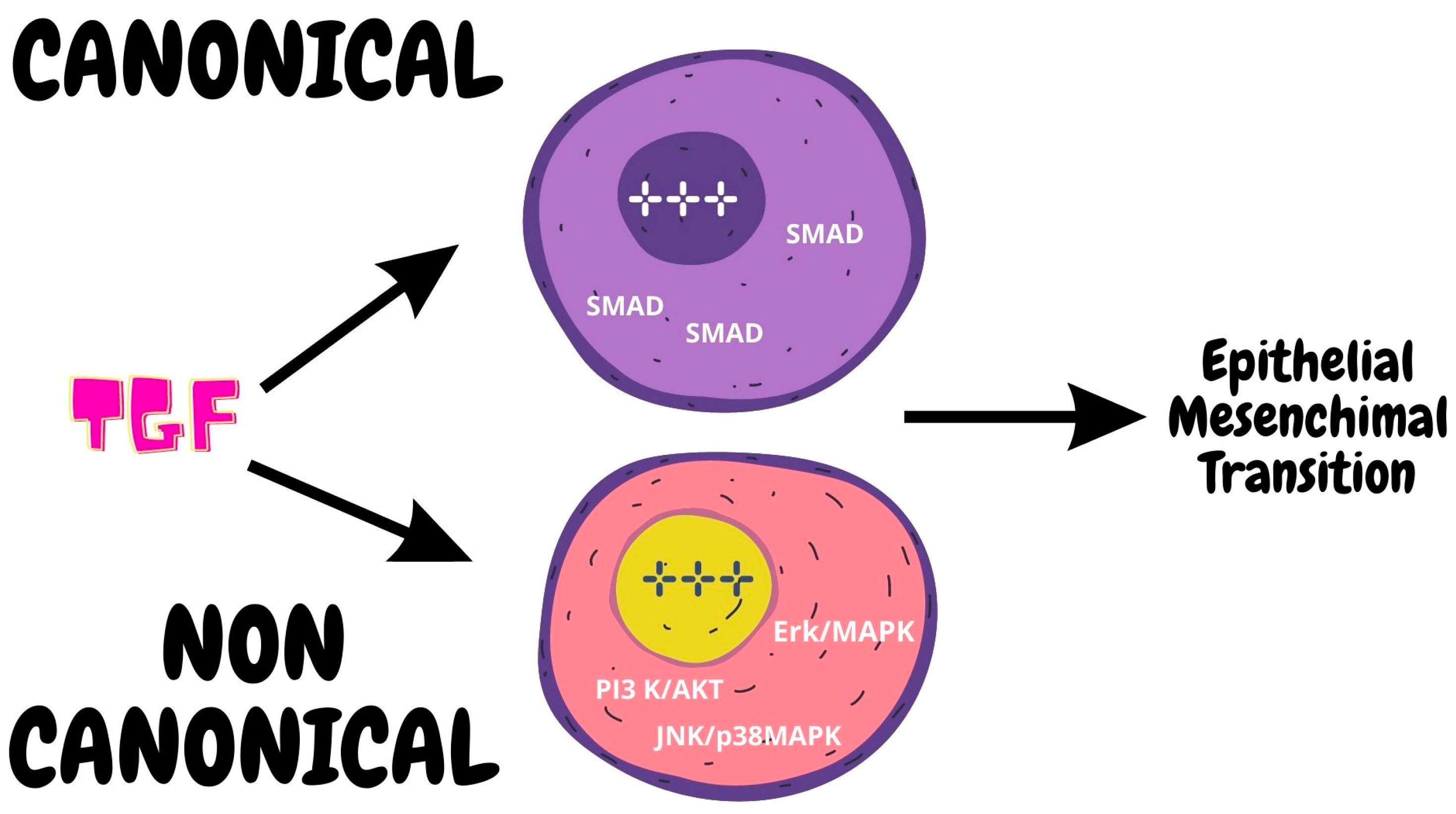 Ijms 24 07746 g006 Ijms 24 07746 g006