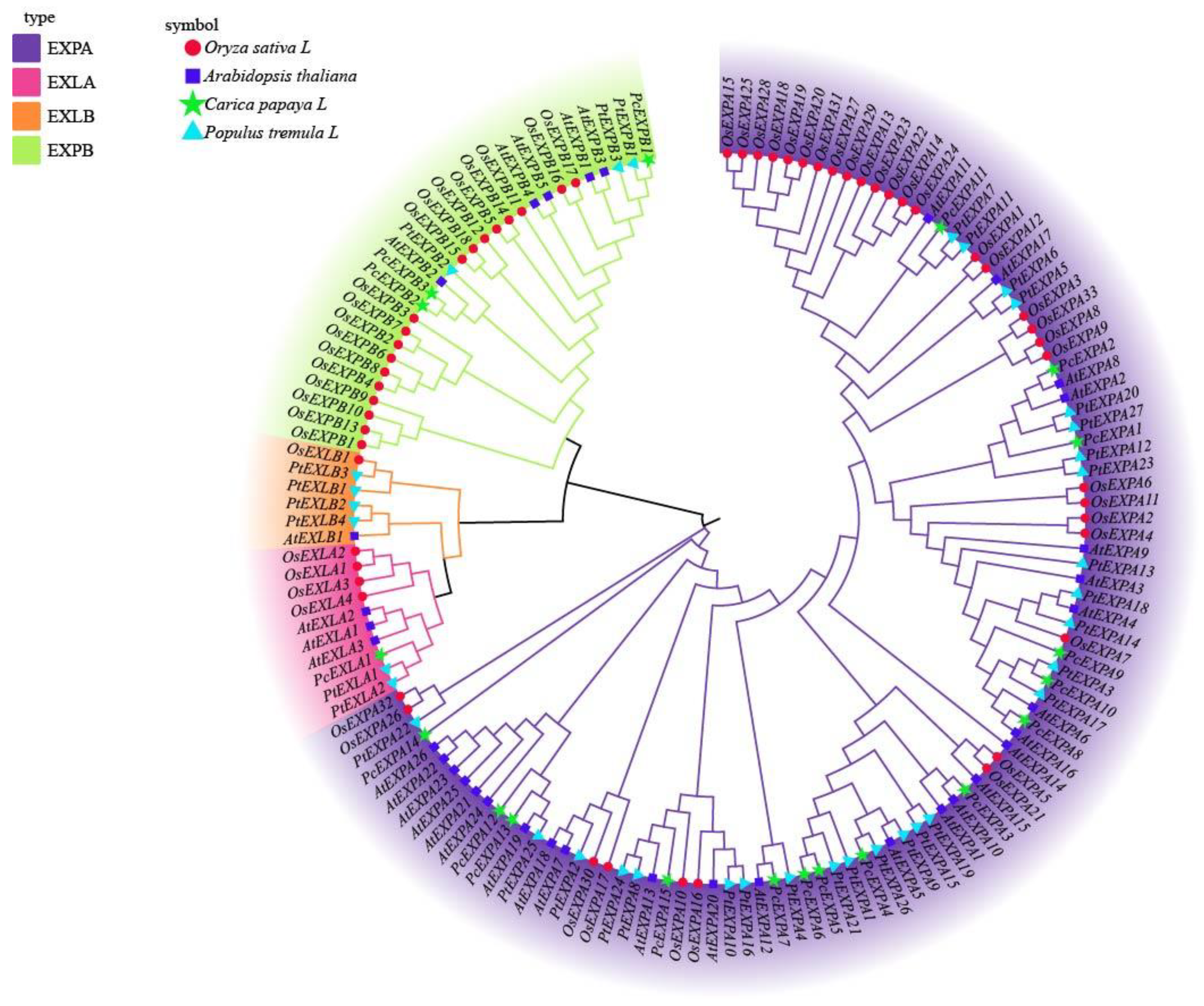 Ijms 24 07759 g001 Ijms 24 07759 g001