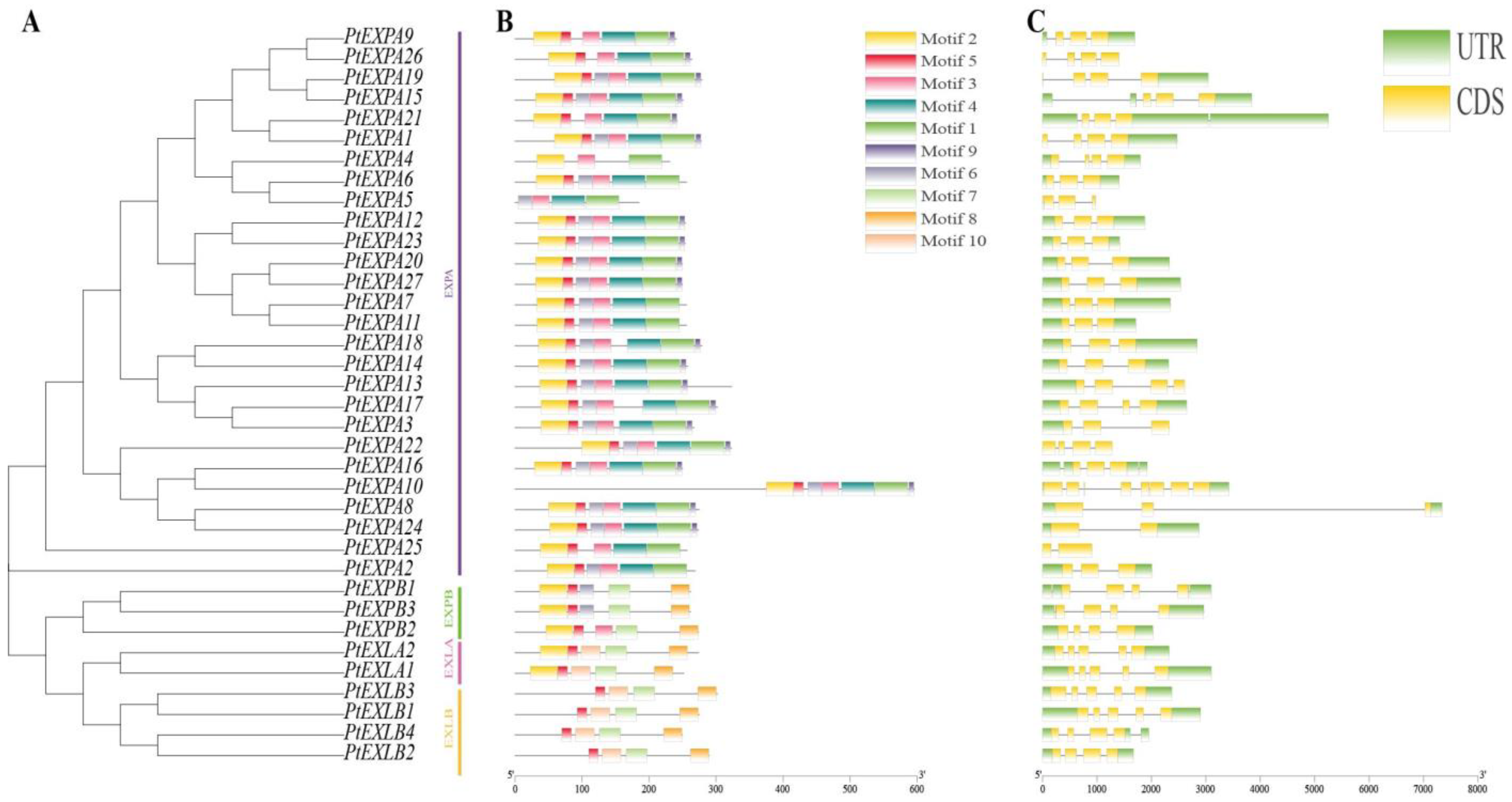 Ijms 24 07759 g002 Ijms 24 07759 g002