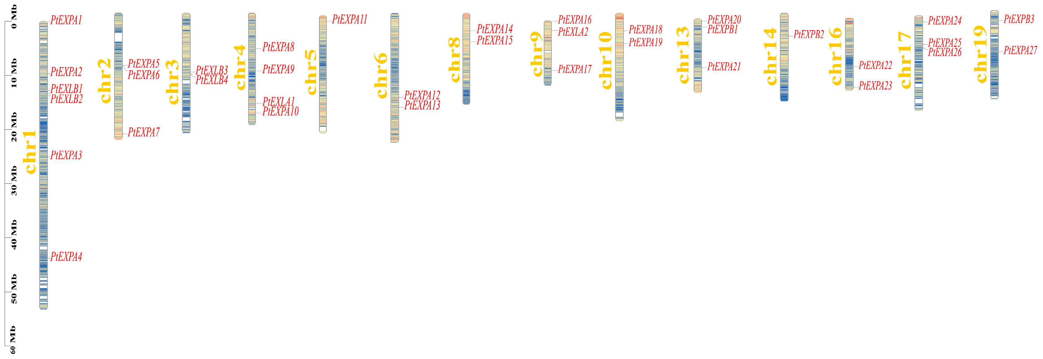 Ijms 24 07759 g003 Ijms 24 07759 g003