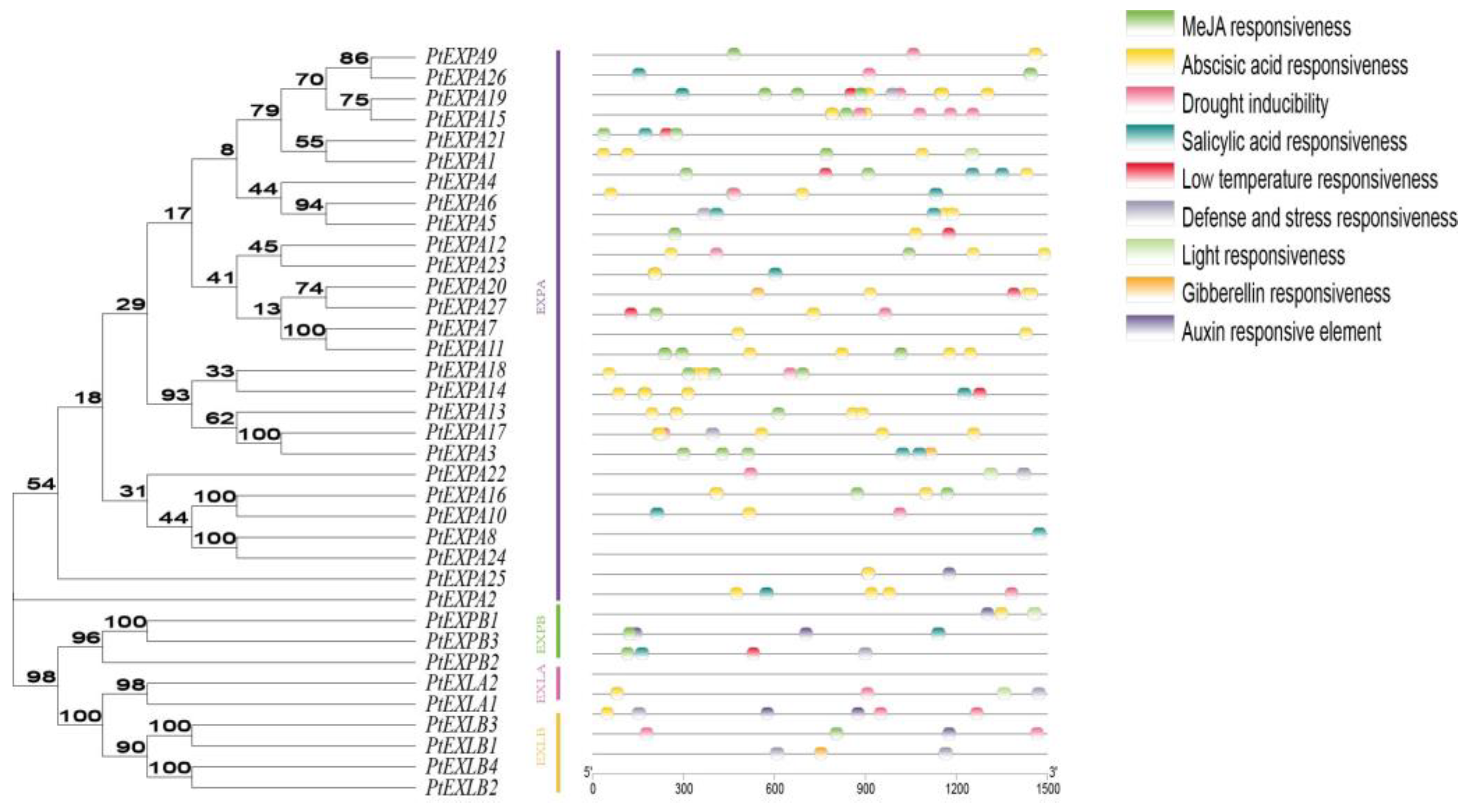 Ijms 24 07759 g005 Ijms 24 07759 g005