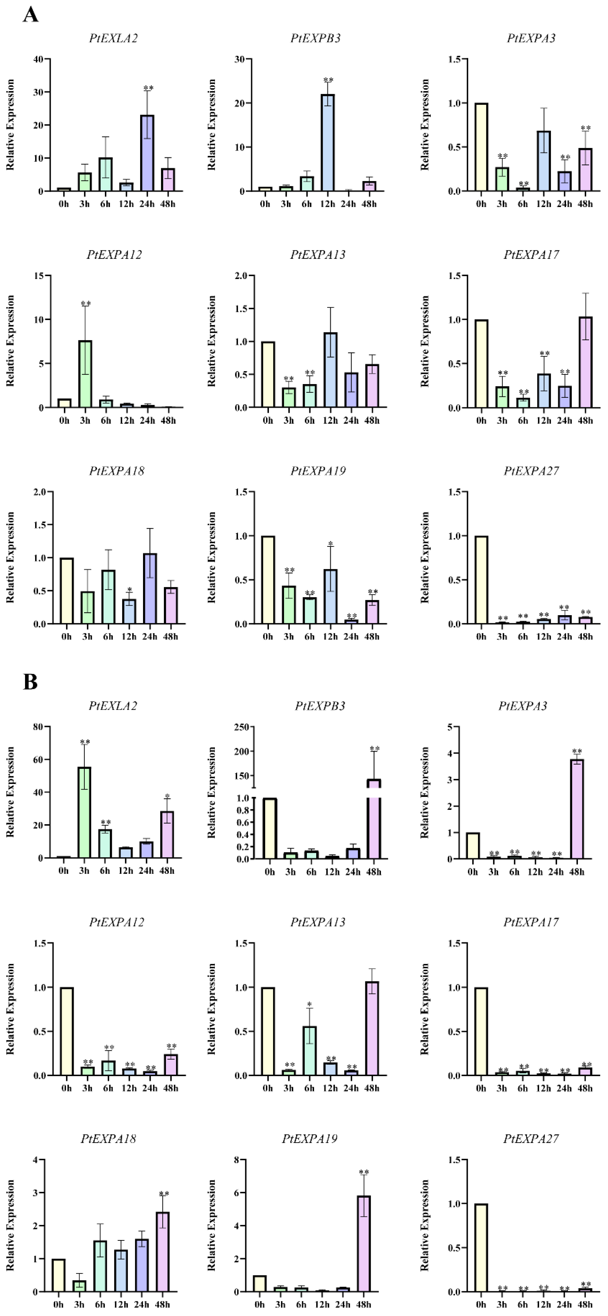 Ijms 24 07759 g008 Ijms 24 07759 g008