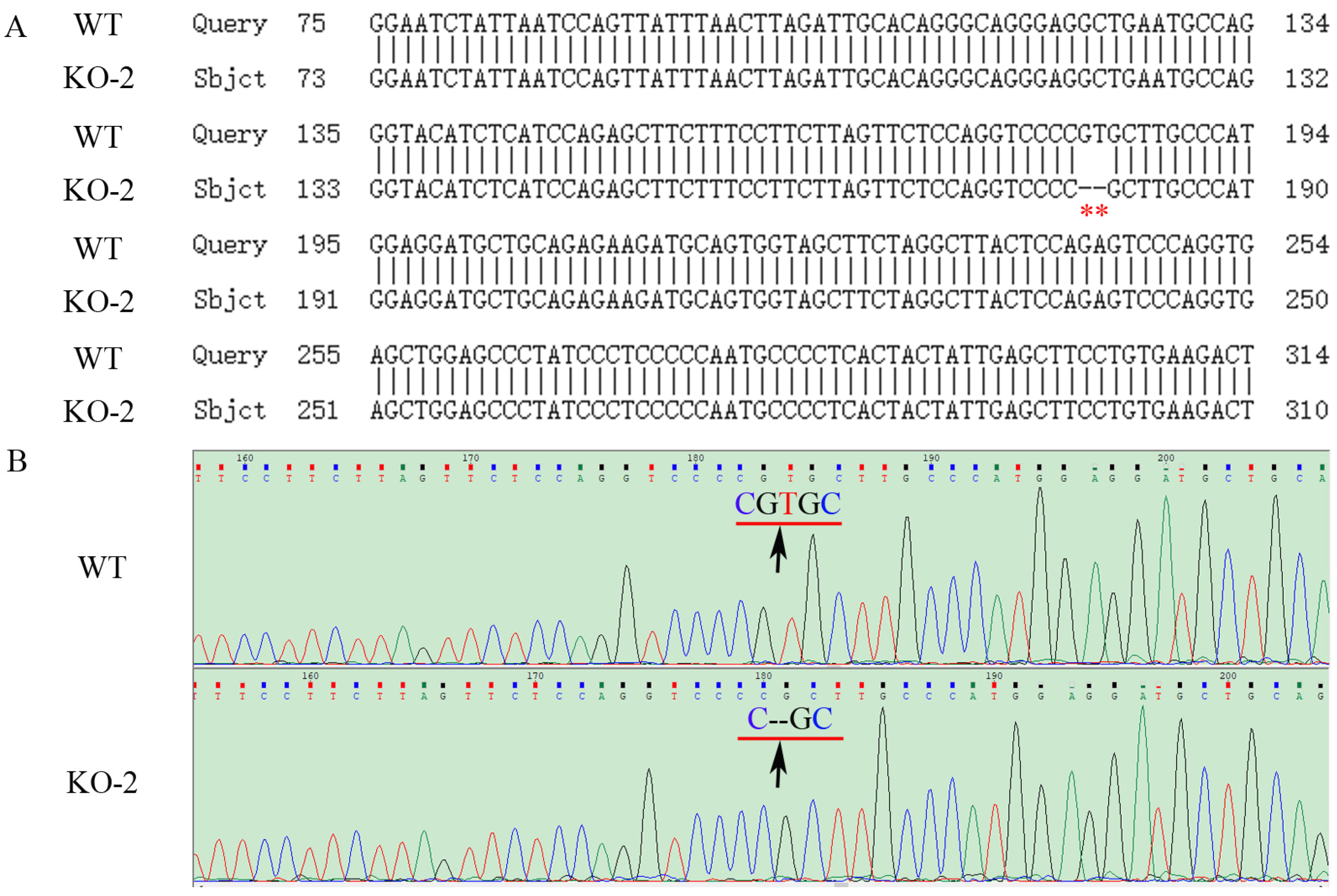 Ijms 24 07786 g003 Ijms 24 07786 g003