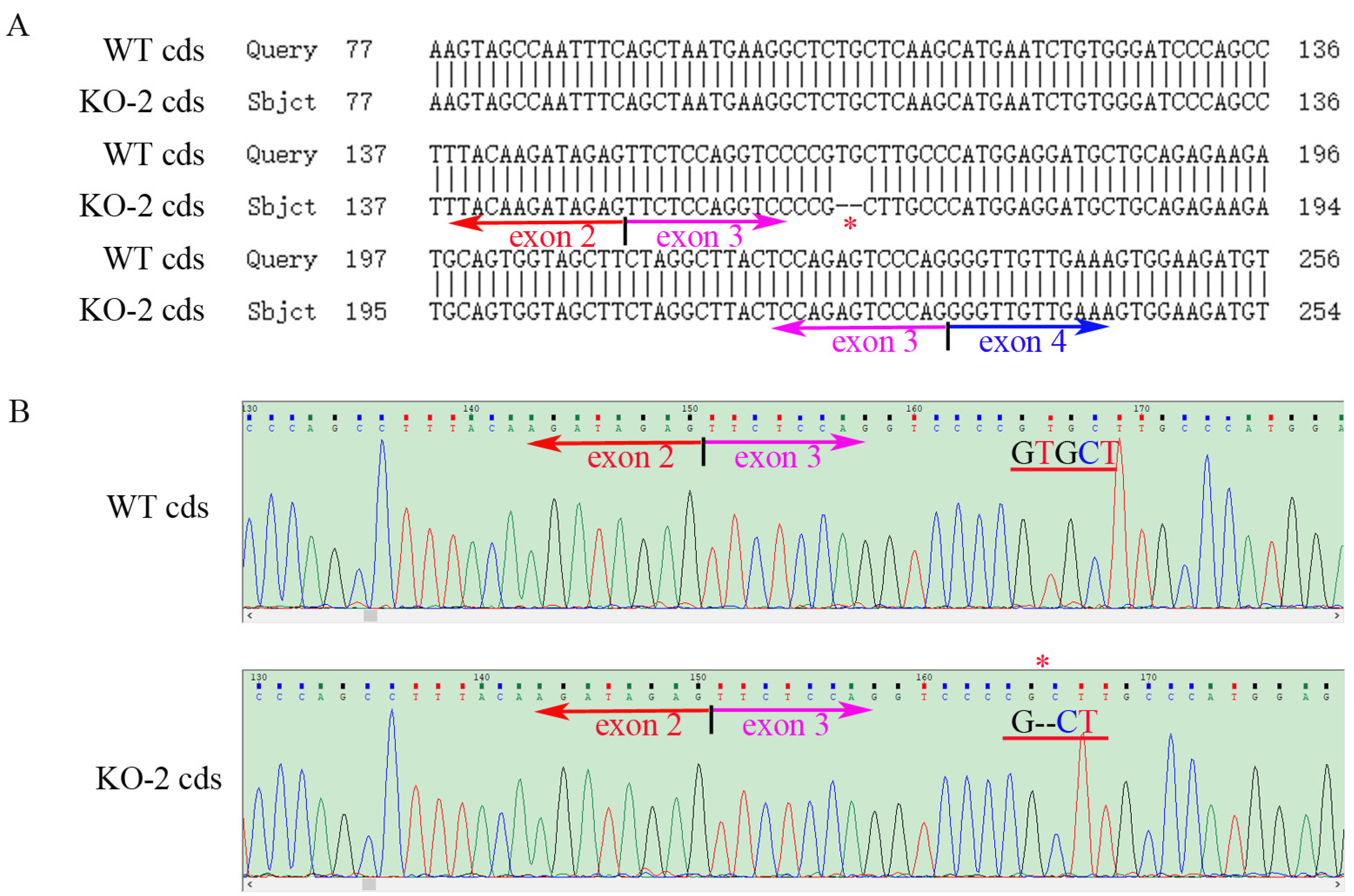 Ijms 24 07786 g004 Ijms 24 07786 g004