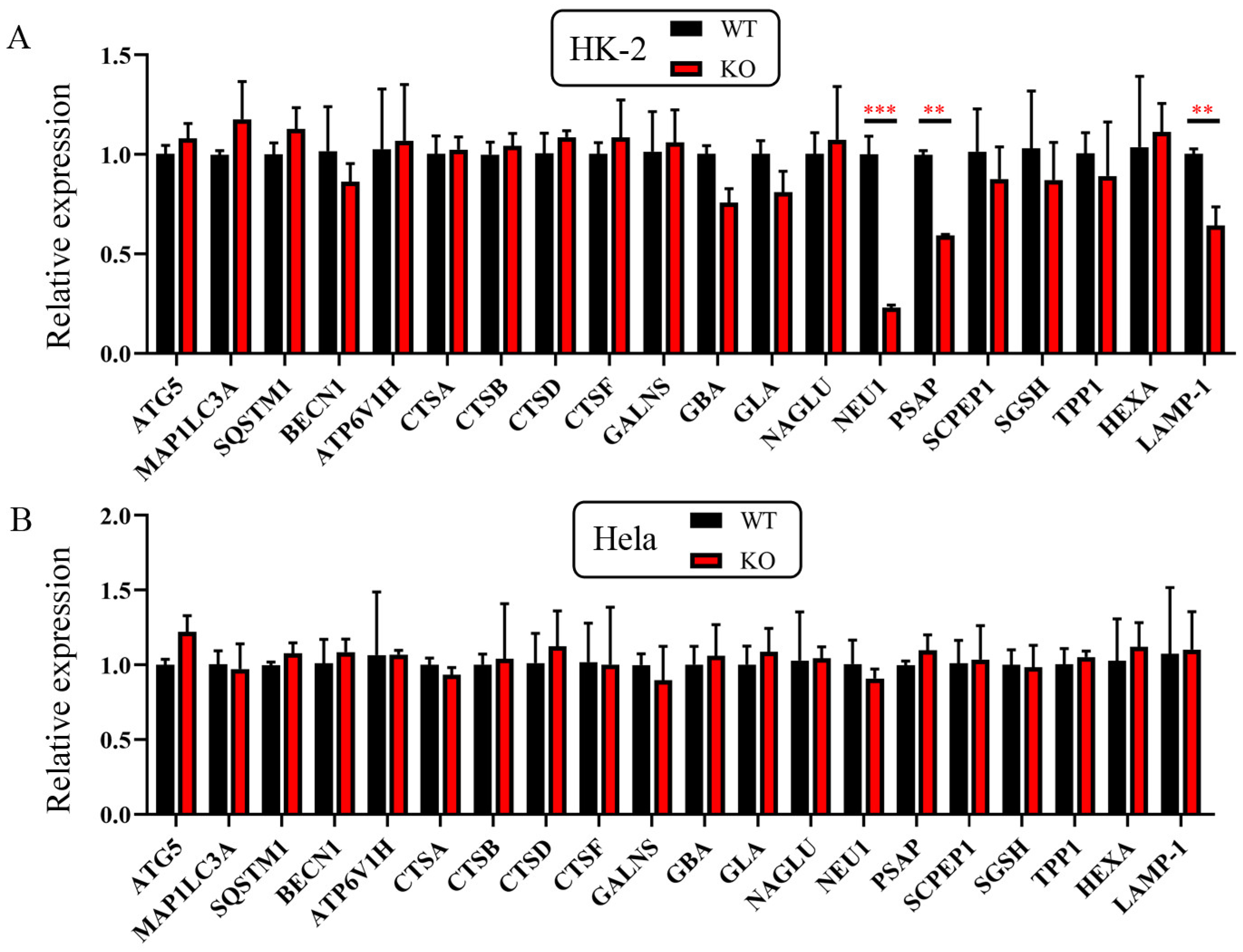 Ijms 24 07786 g006 Ijms 24 07786 g006