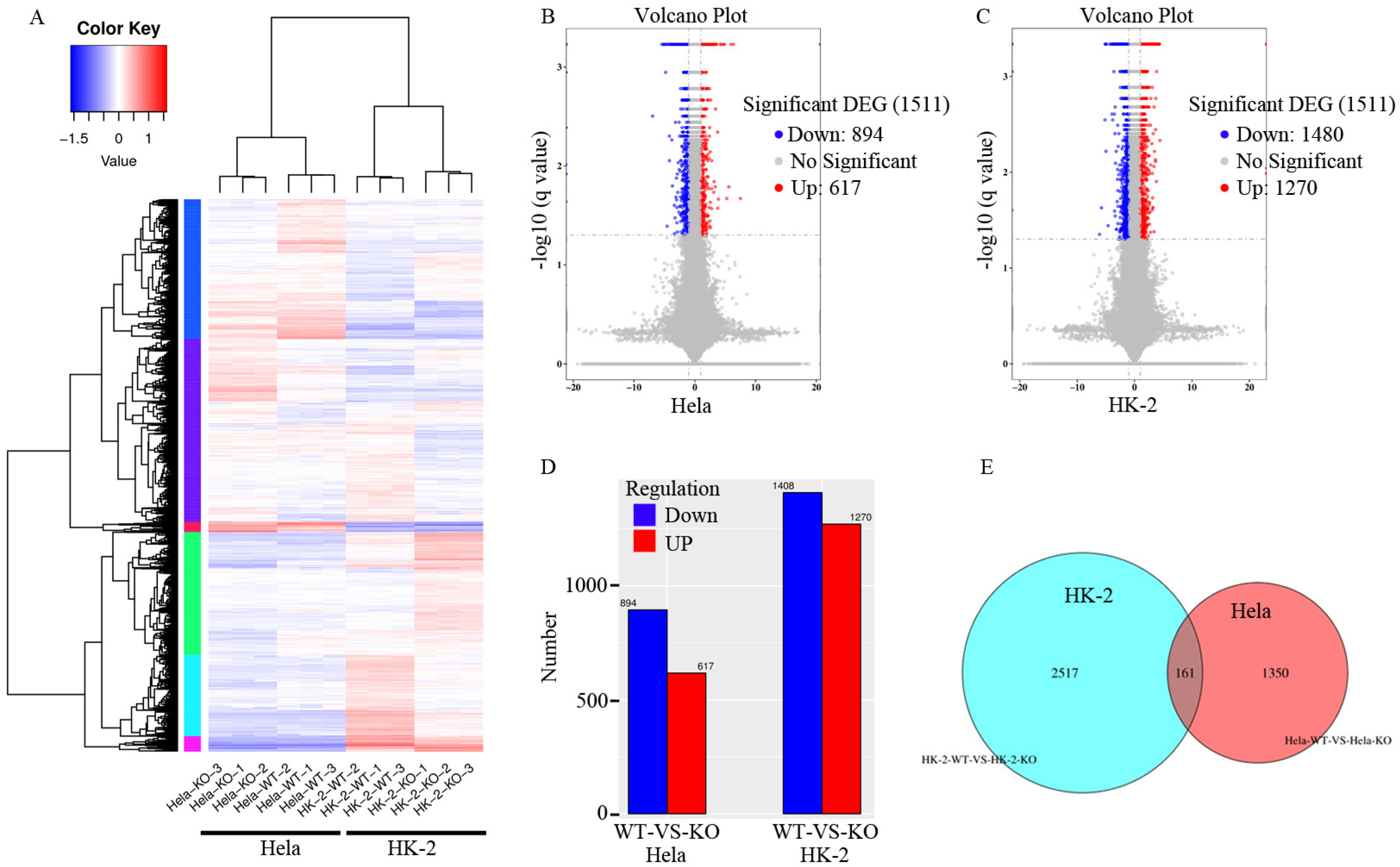 Ijms 24 07786 g007 Ijms 24 07786 g007