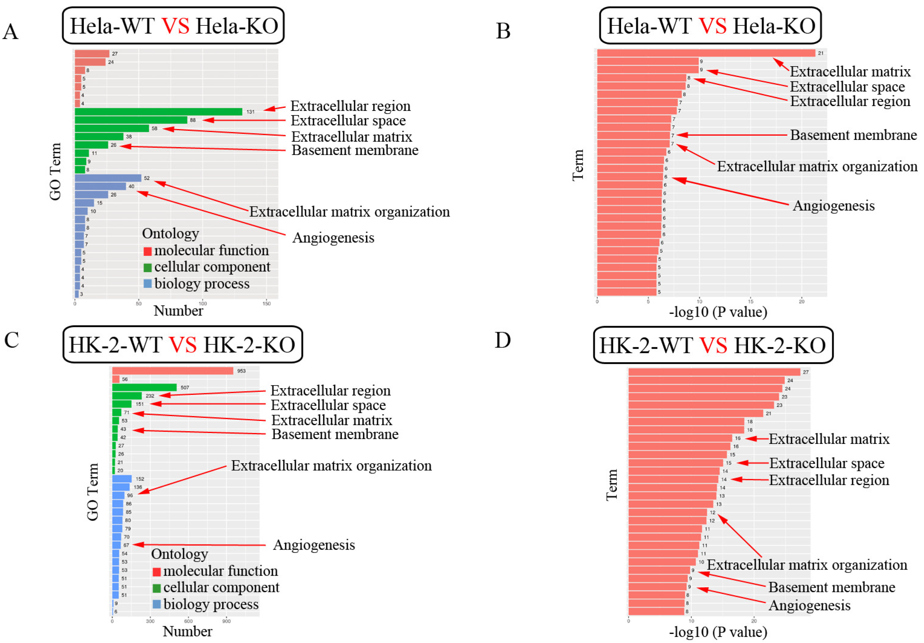 Ijms 24 07786 g008 Ijms 24 07786 g008