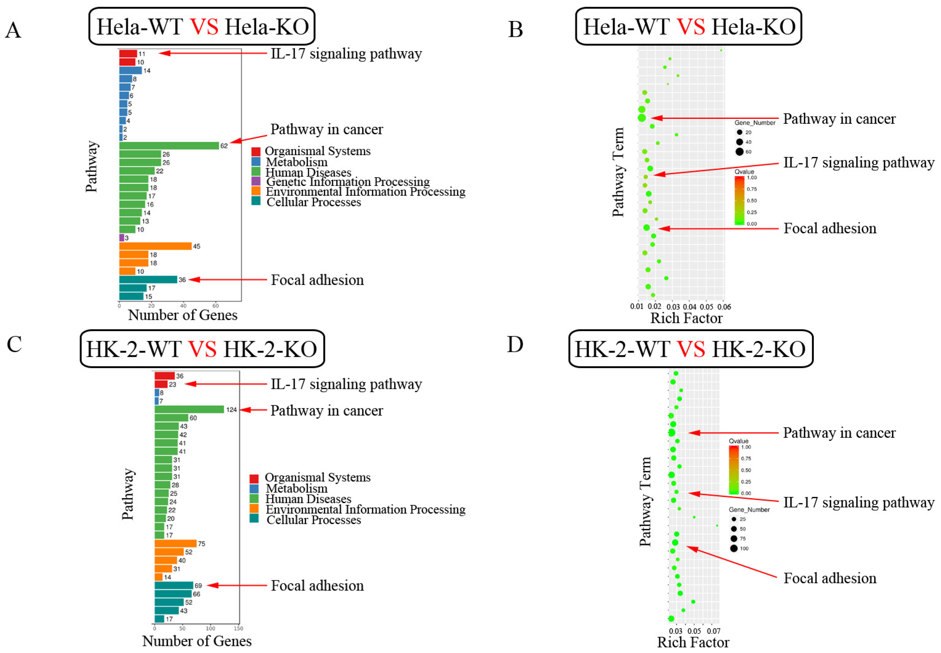 Ijms 24 07786 g009 Ijms 24 07786 g009