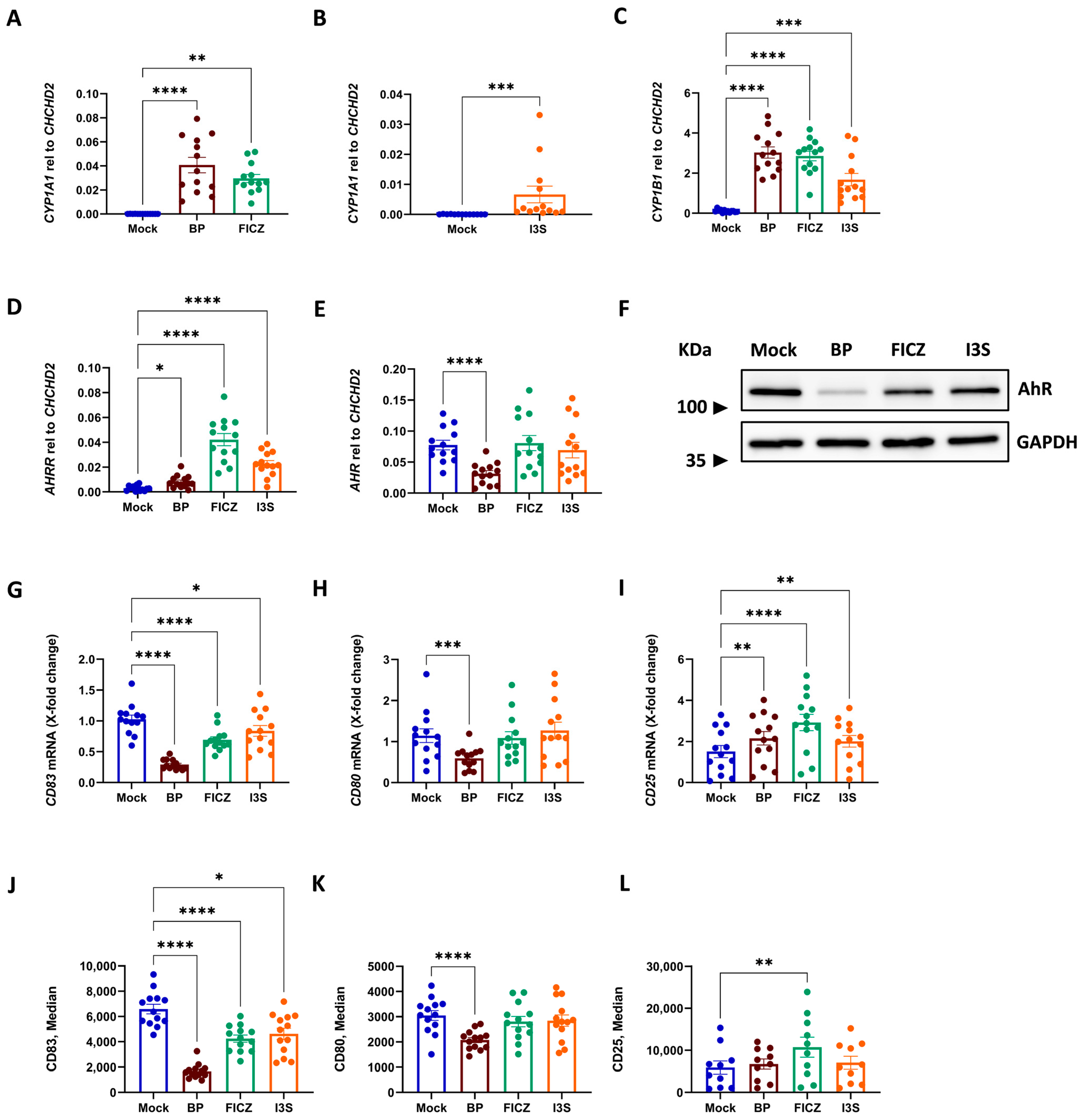 Ijms 24 07801 g001 Ijms 24 07801 g001