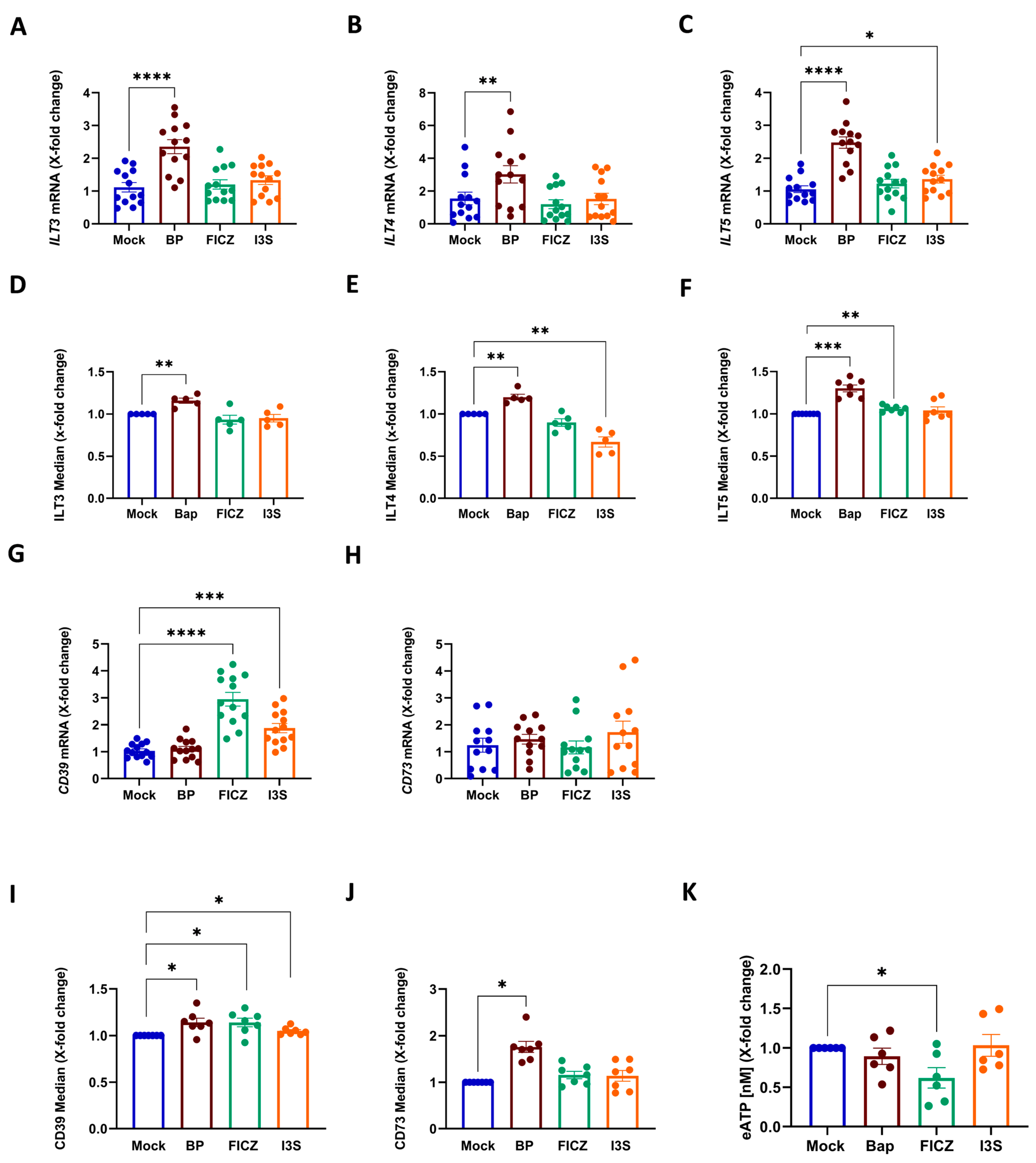 Ijms 24 07801 g002 Ijms 24 07801 g002