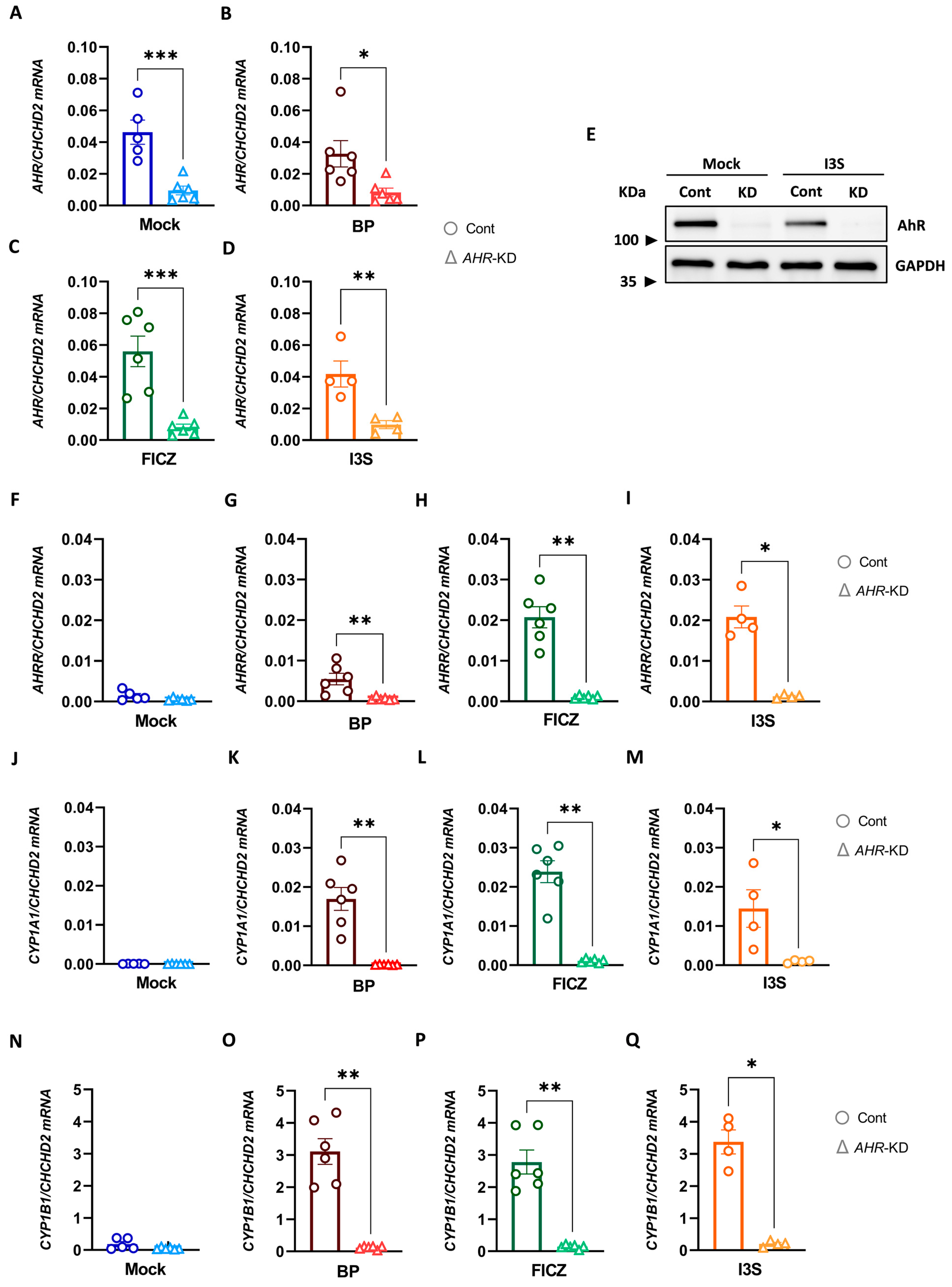 Ijms 24 07801 g005 Ijms 24 07801 g005