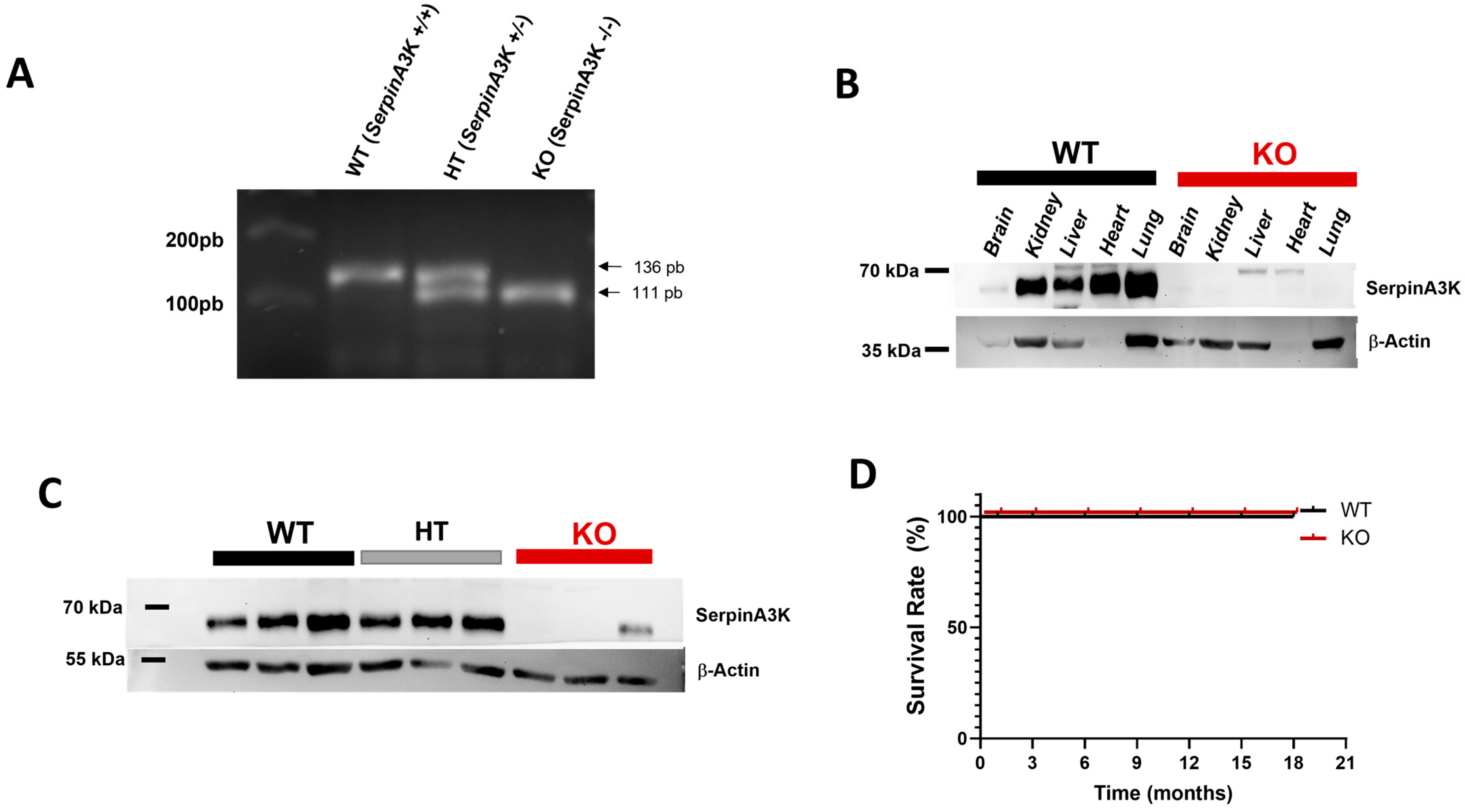 Ijms 24 07815 g001 Ijms 24 07815 g001