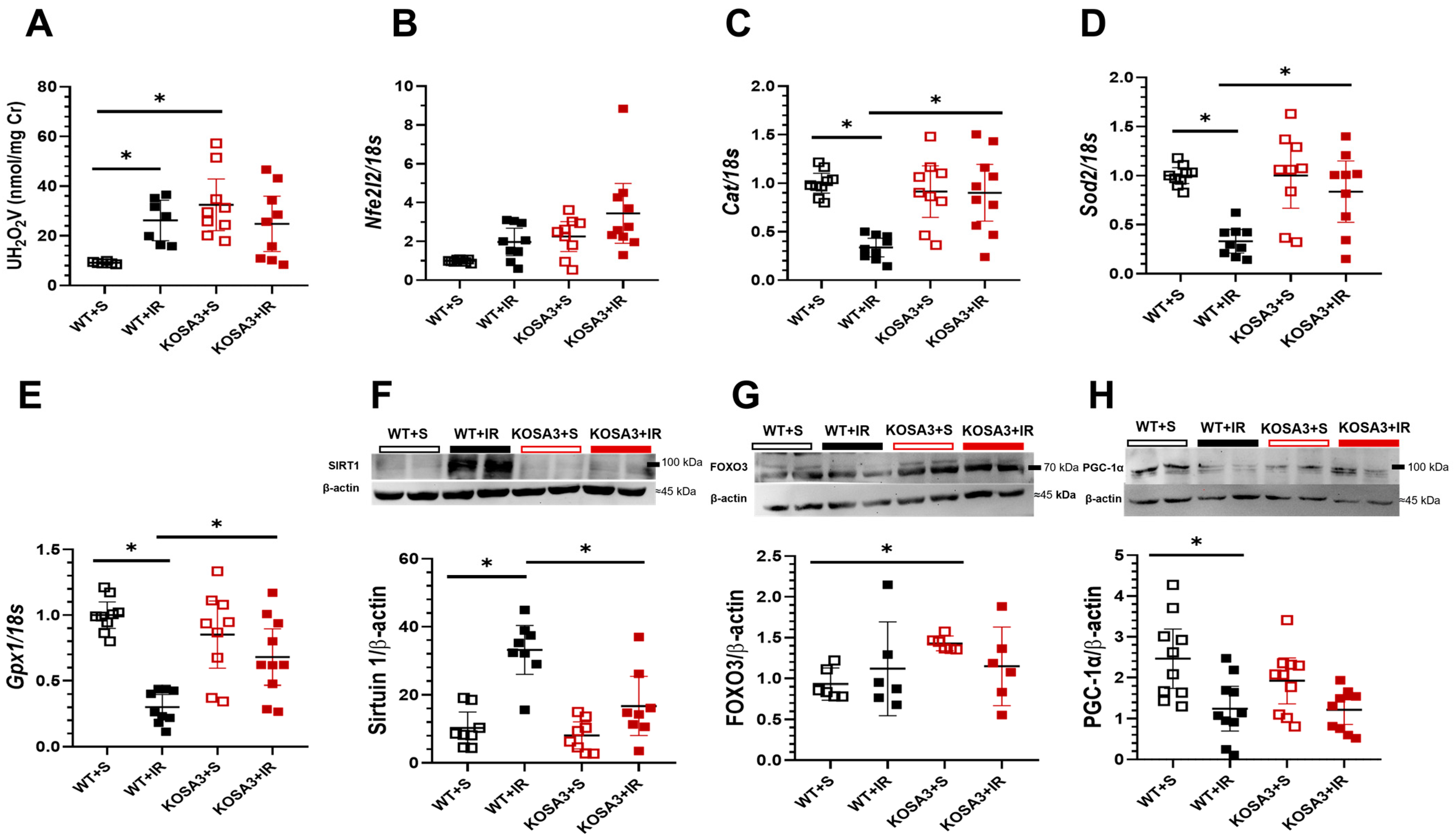 Ijms 24 07815 g006 Ijms 24 07815 g006