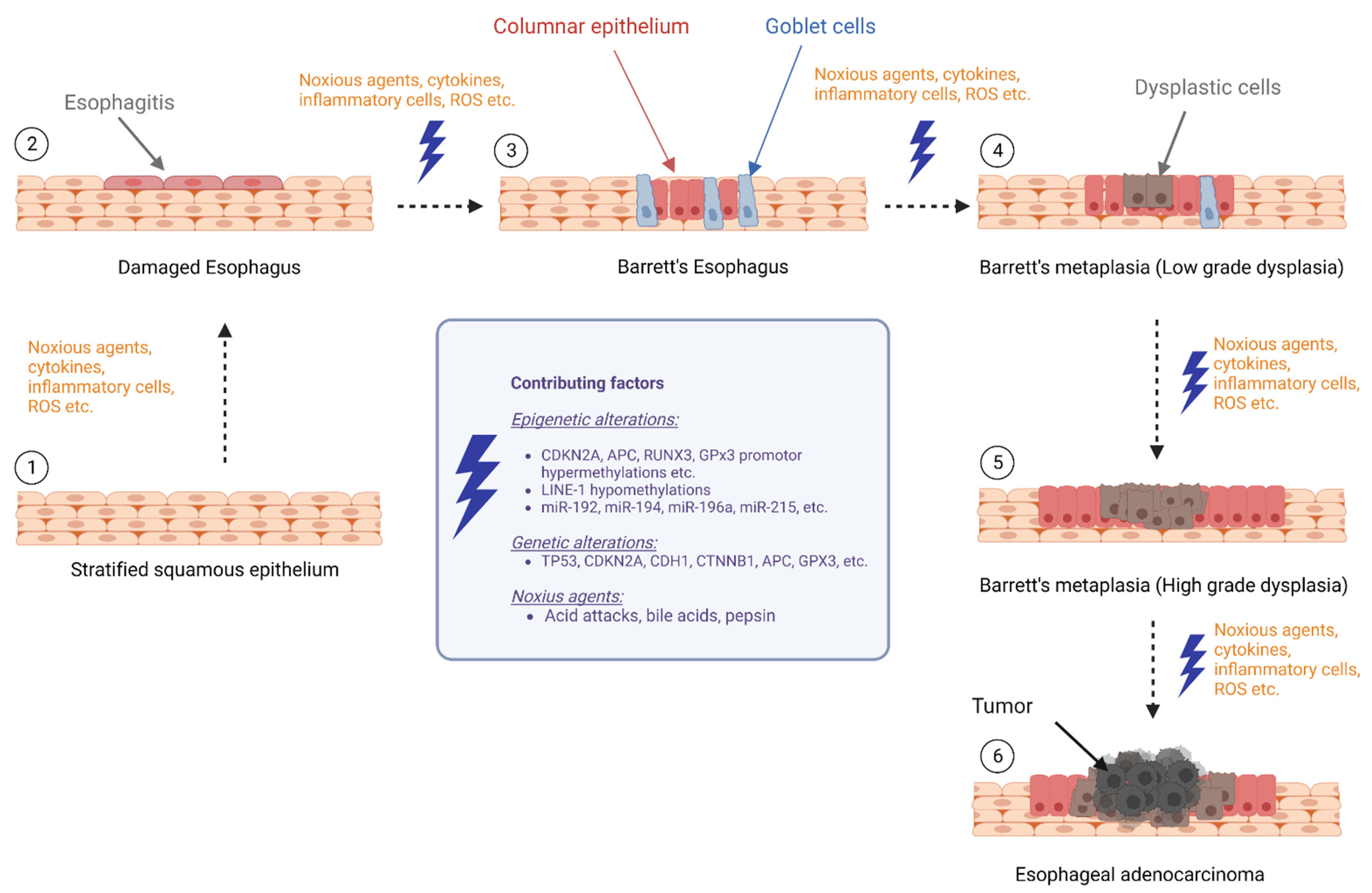 Ijms 24 07817 g001 Ijms 24 07817 g001