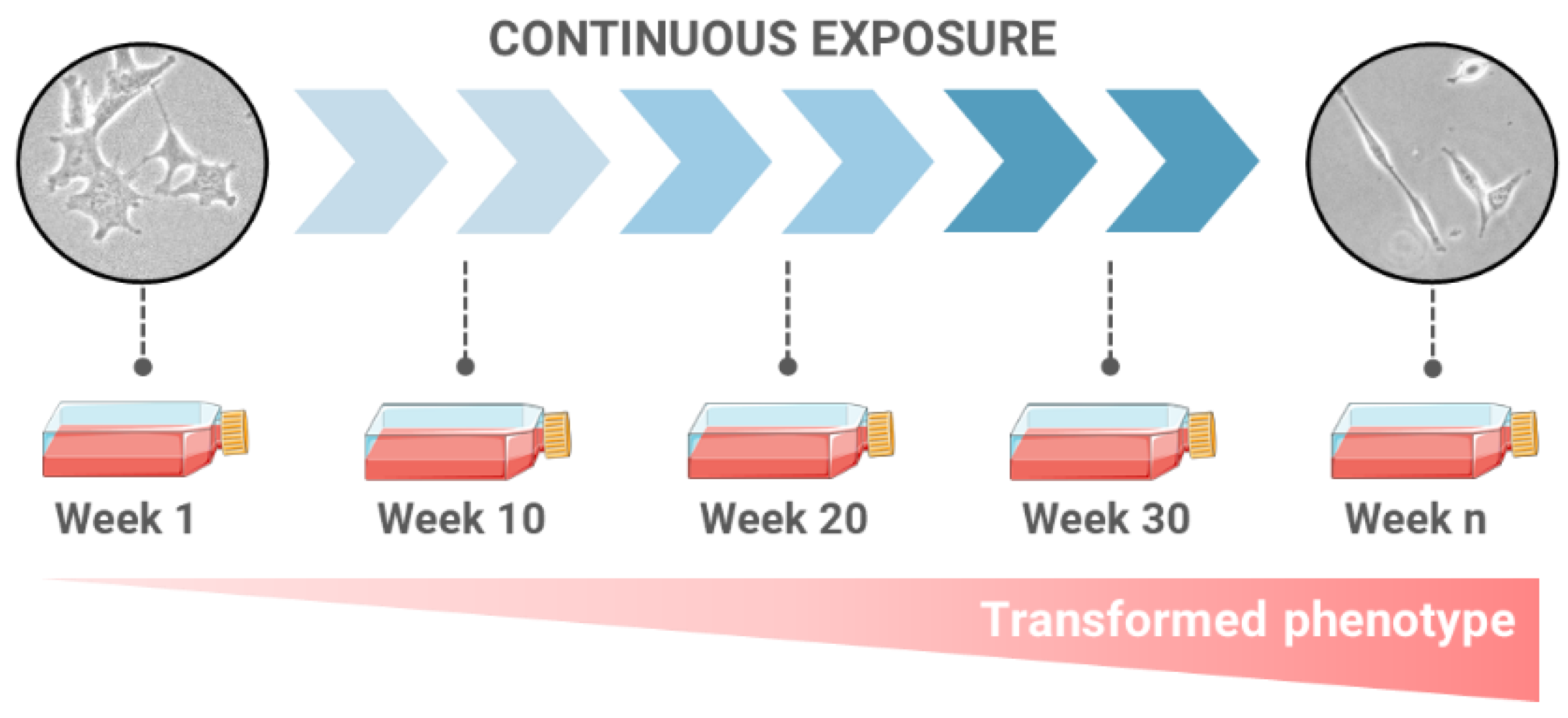 Ijms 24 07851 g001 Ijms 24 07851 g001