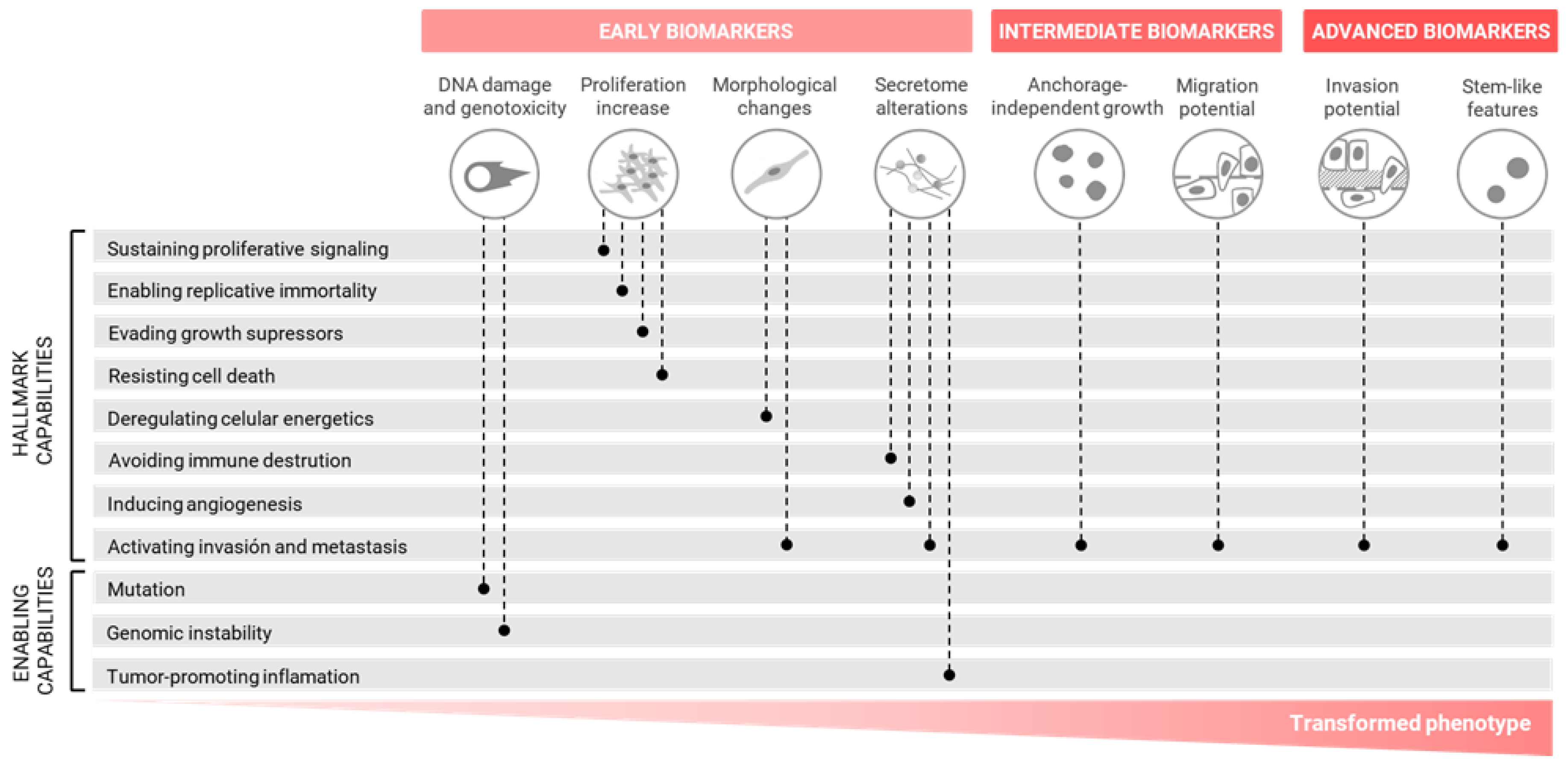 Ijms 24 07851 g002 Ijms 24 07851 g002
