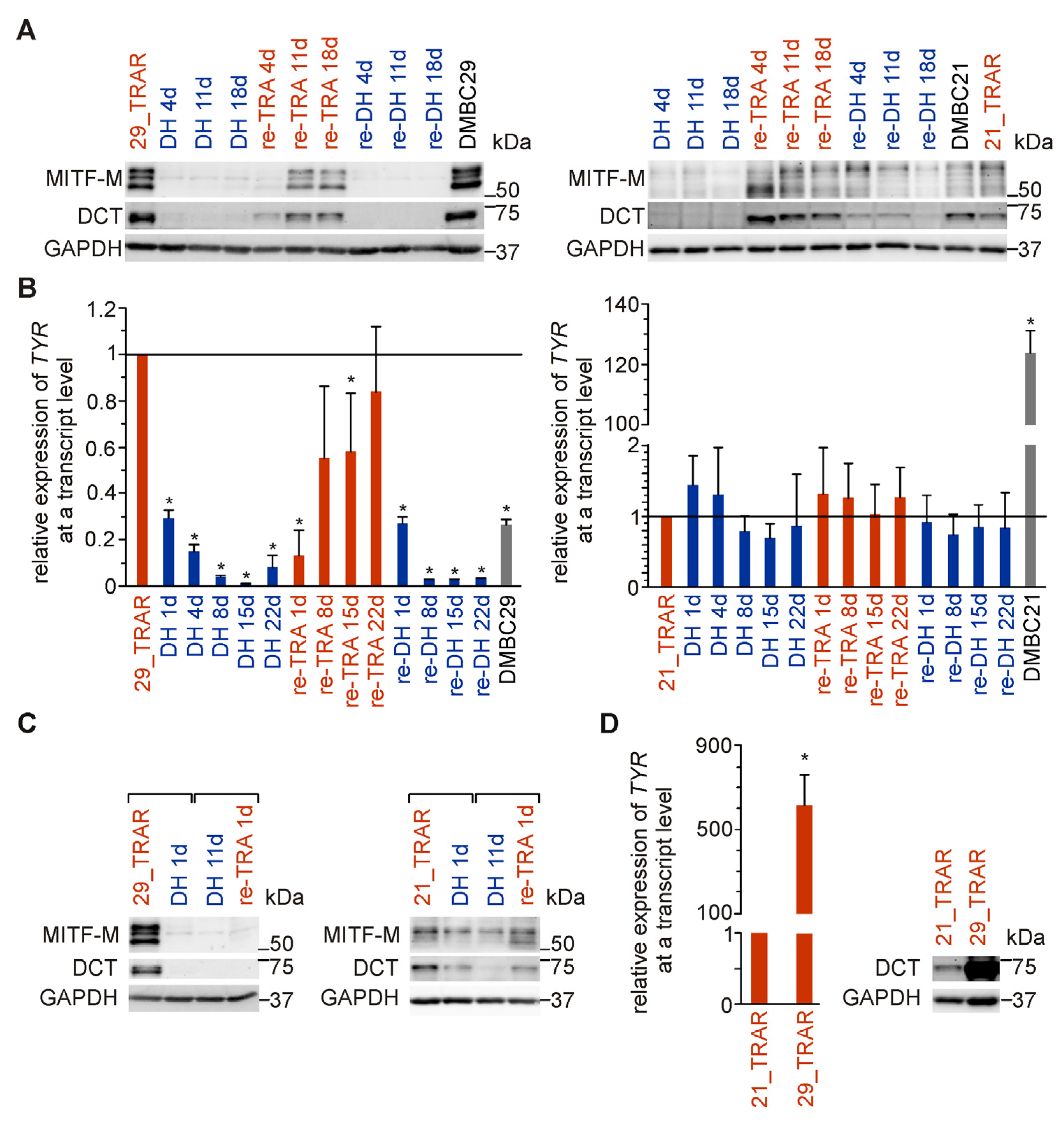 Ijms 24 07891 g003 Ijms 24 07891 g003
