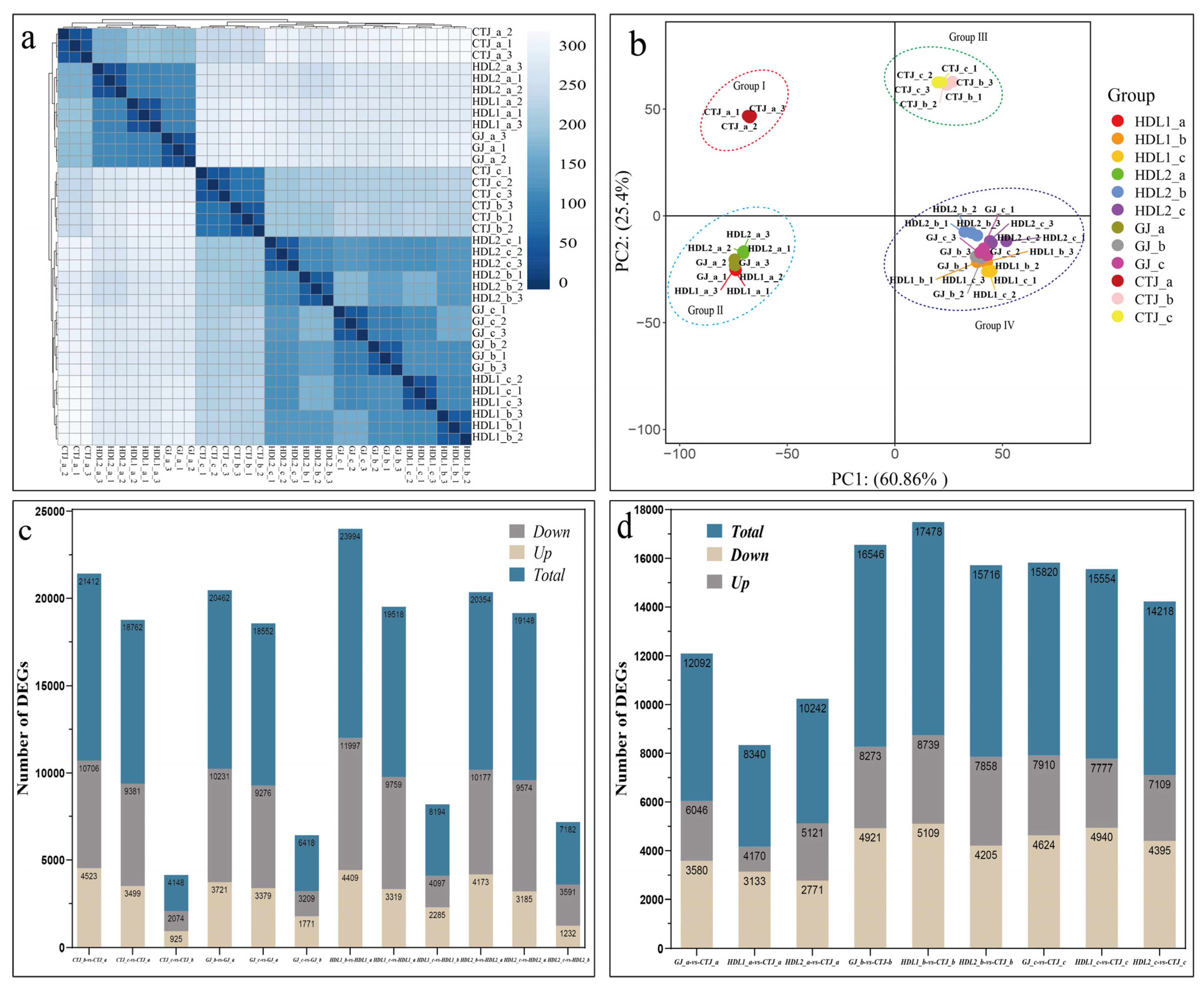 Ijms 24 07901 g004 Ijms 24 07901 g004