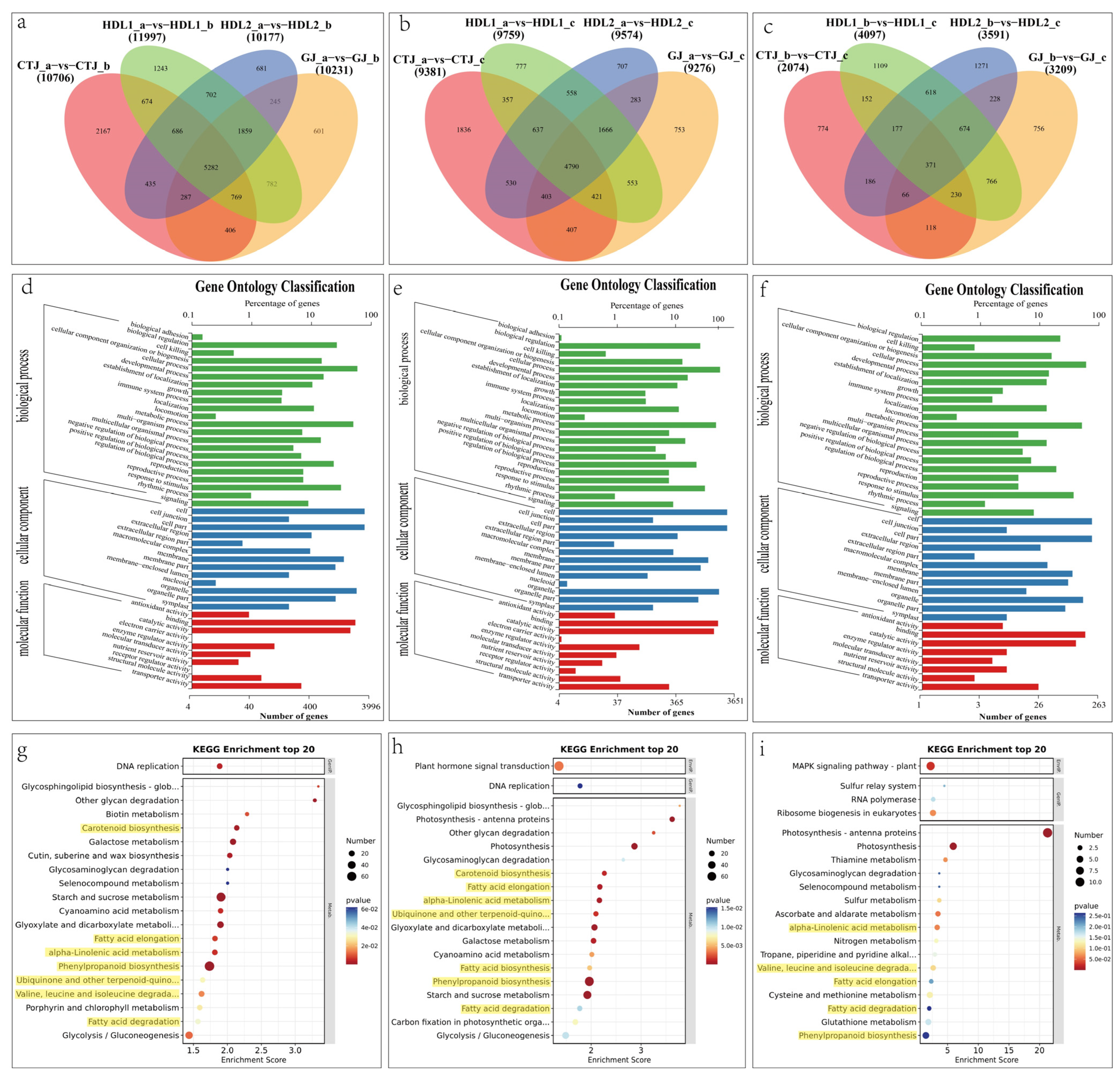 Ijms 24 07901 g005 Ijms 24 07901 g005